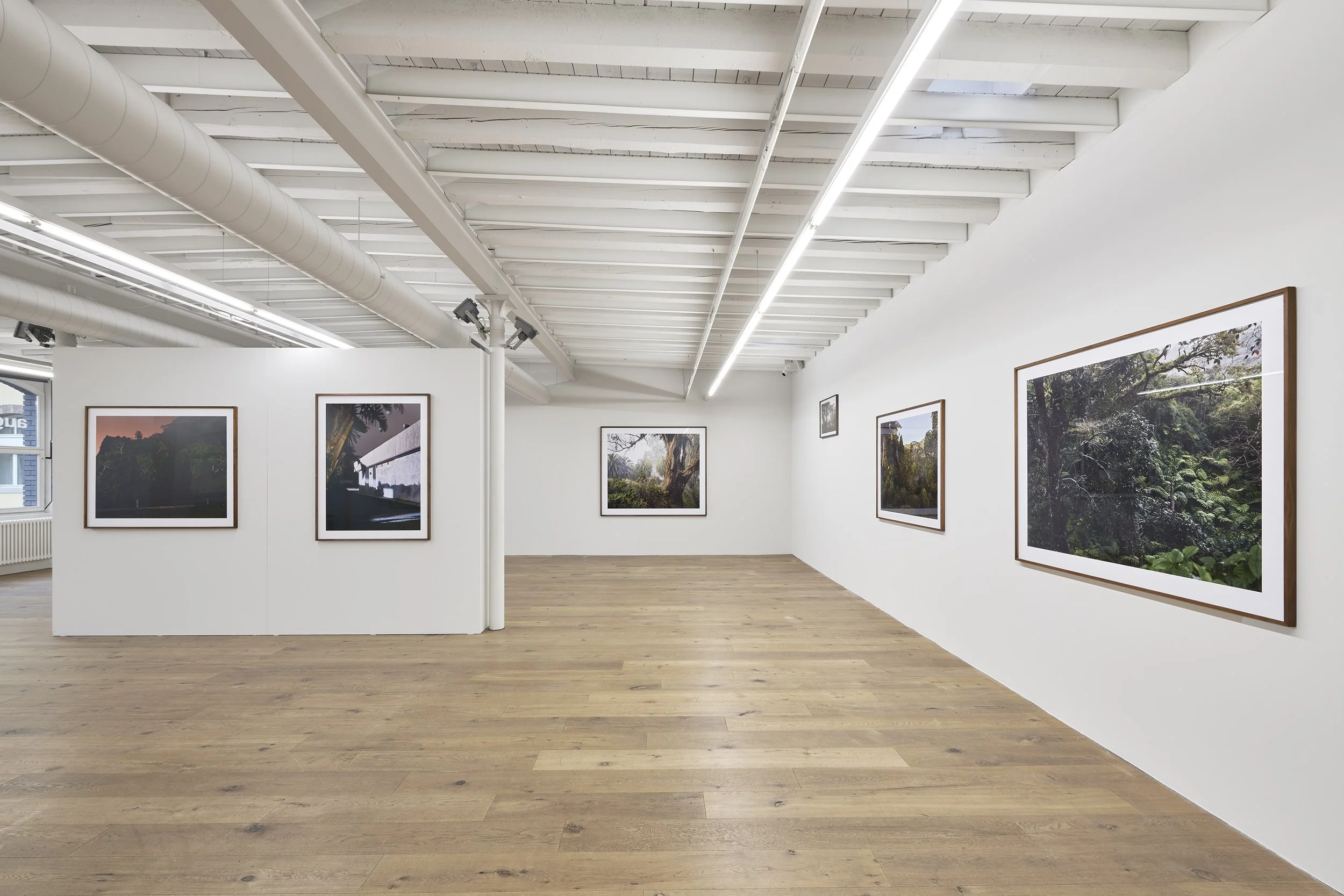 Galerie 94_installs 4.jpg