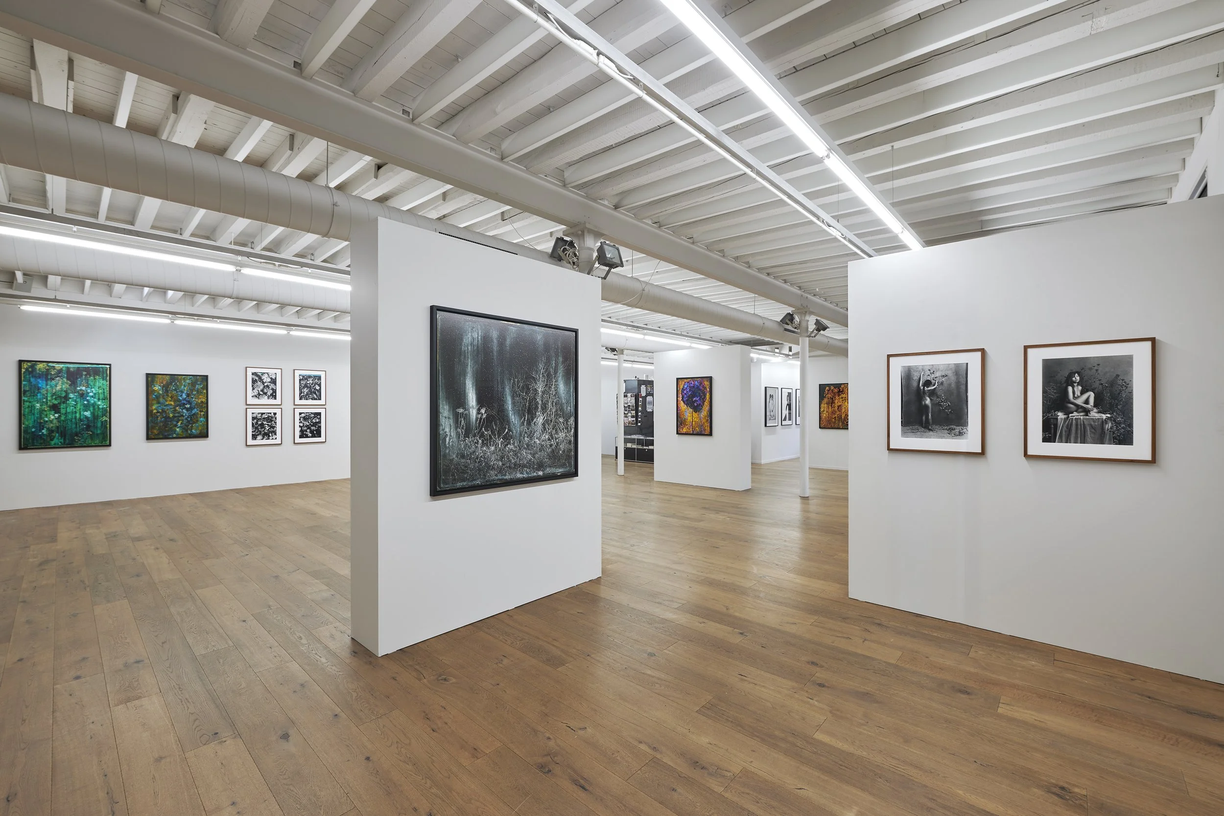 Galerie94_1232026 5.jpg