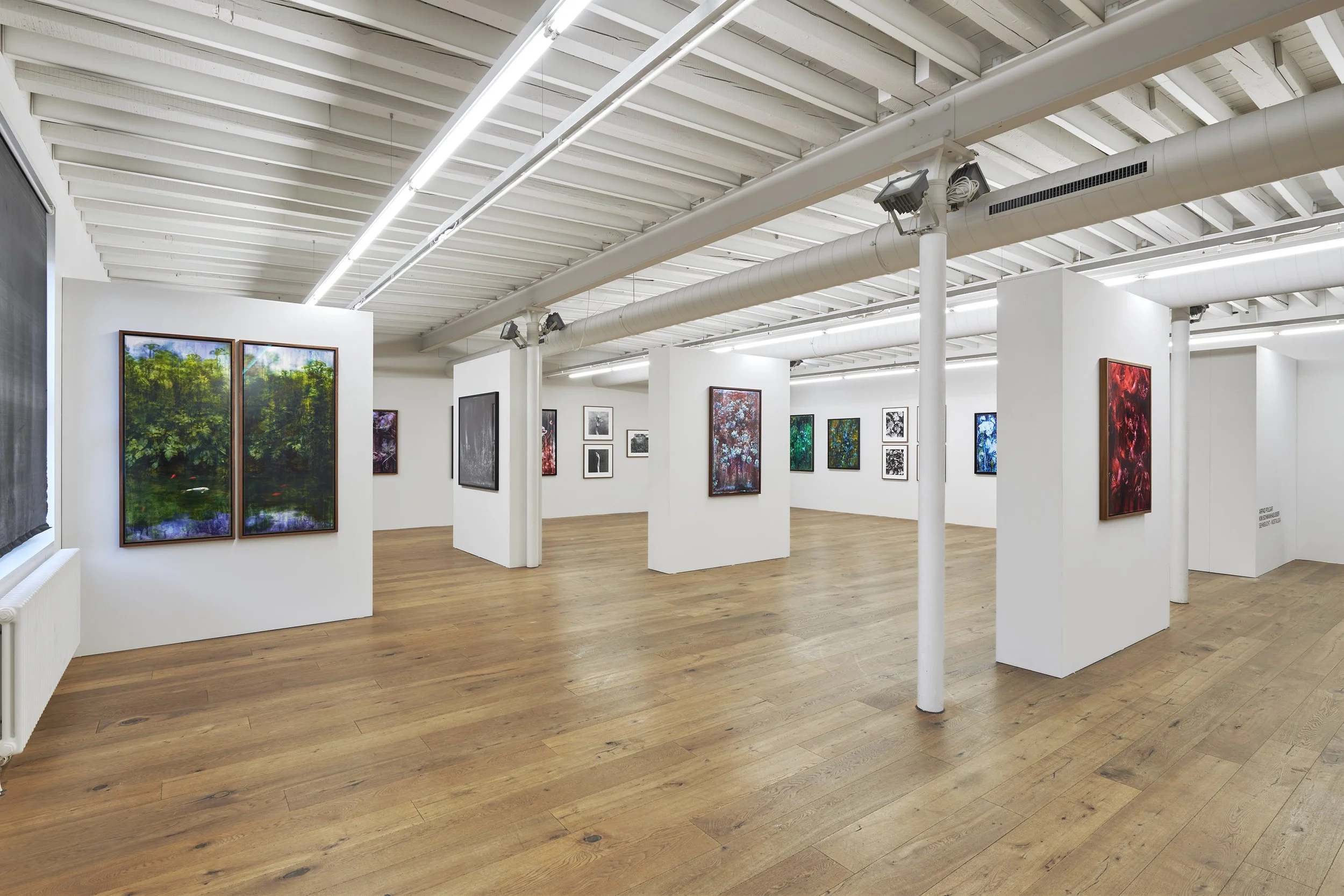 Galerie94_1232026 6.jpg