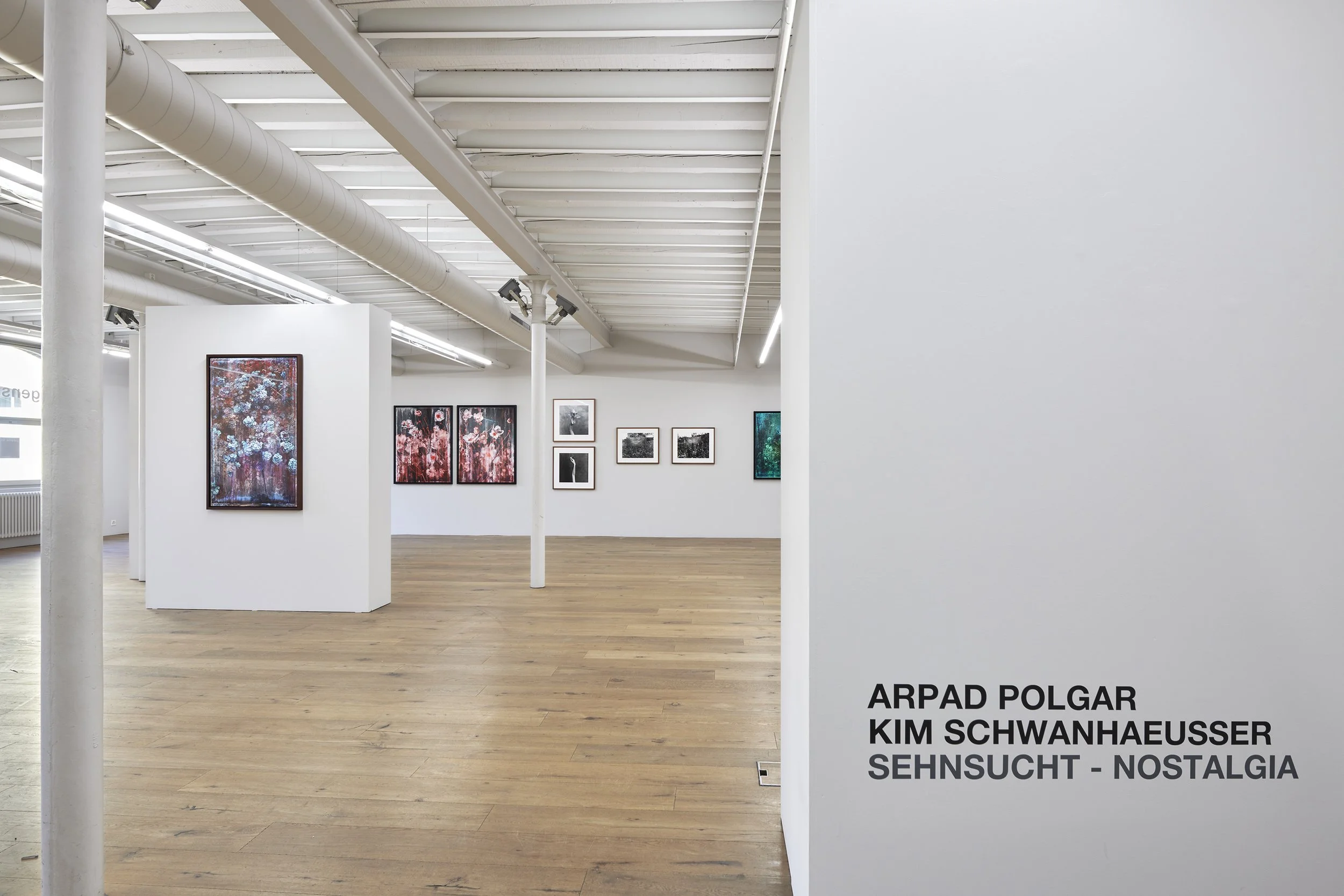 Galerie94_1232026 1.jpg
