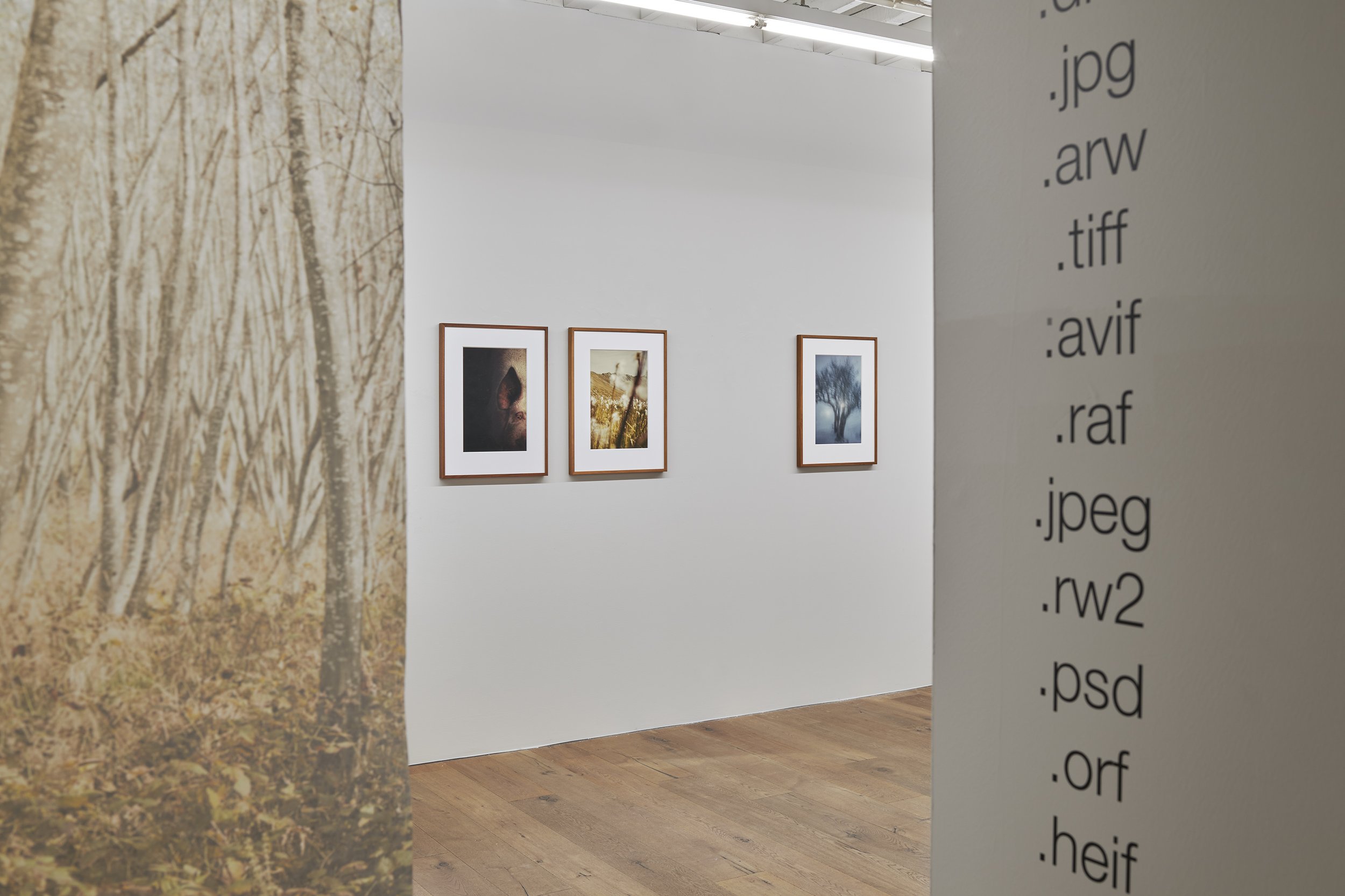 Gallerie94_7052026 11.jpg