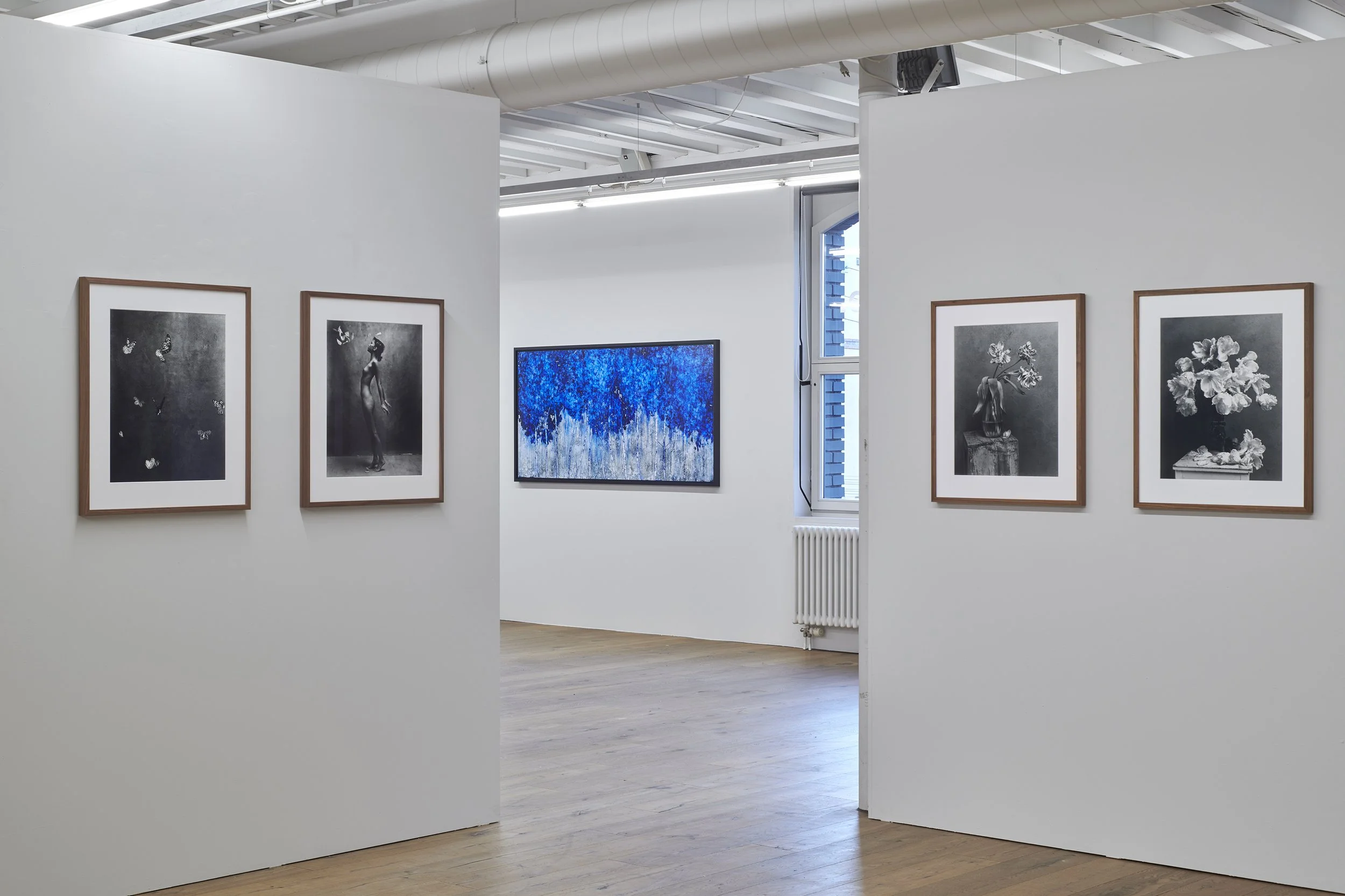 Galerie94_1232026 17.jpg
