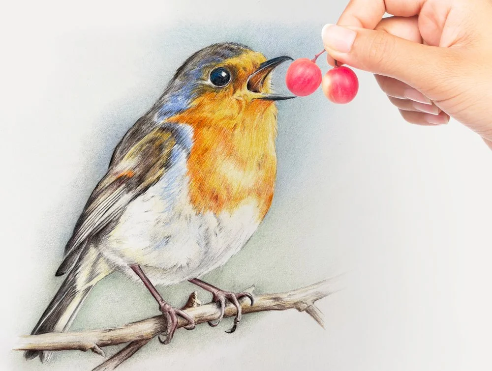 Robin-hand-crop-FB2.jpg