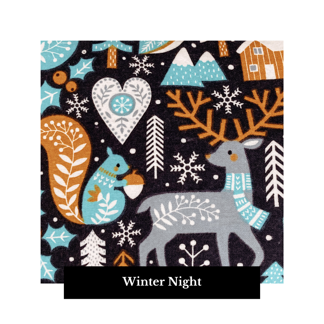 Winter Night.png