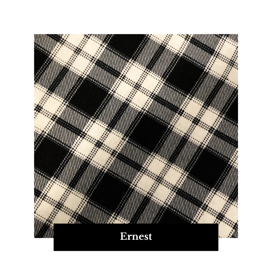 Ernest.png