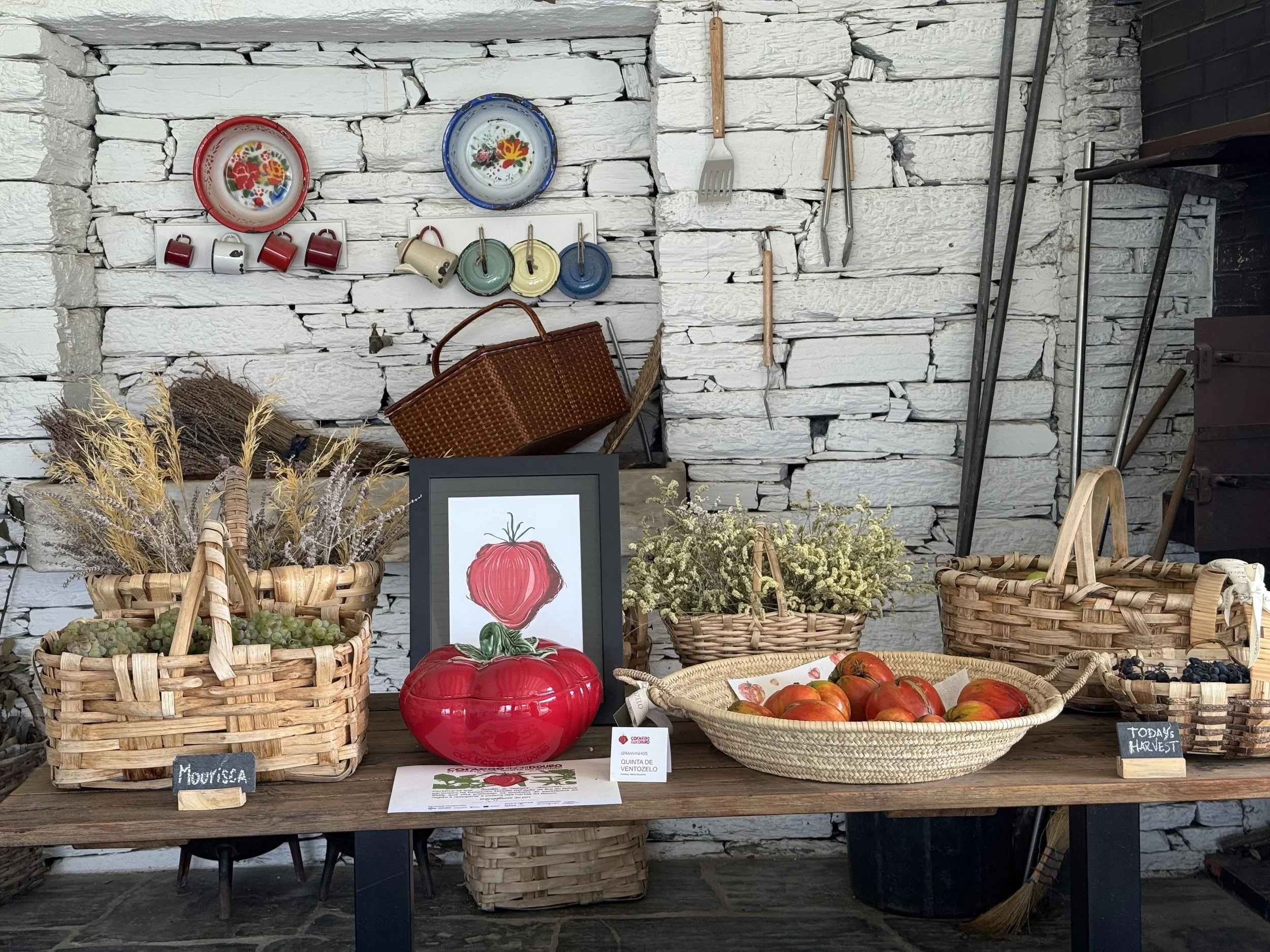 Ventozelo farm-to-table with tomatoes, grapes, vegetables