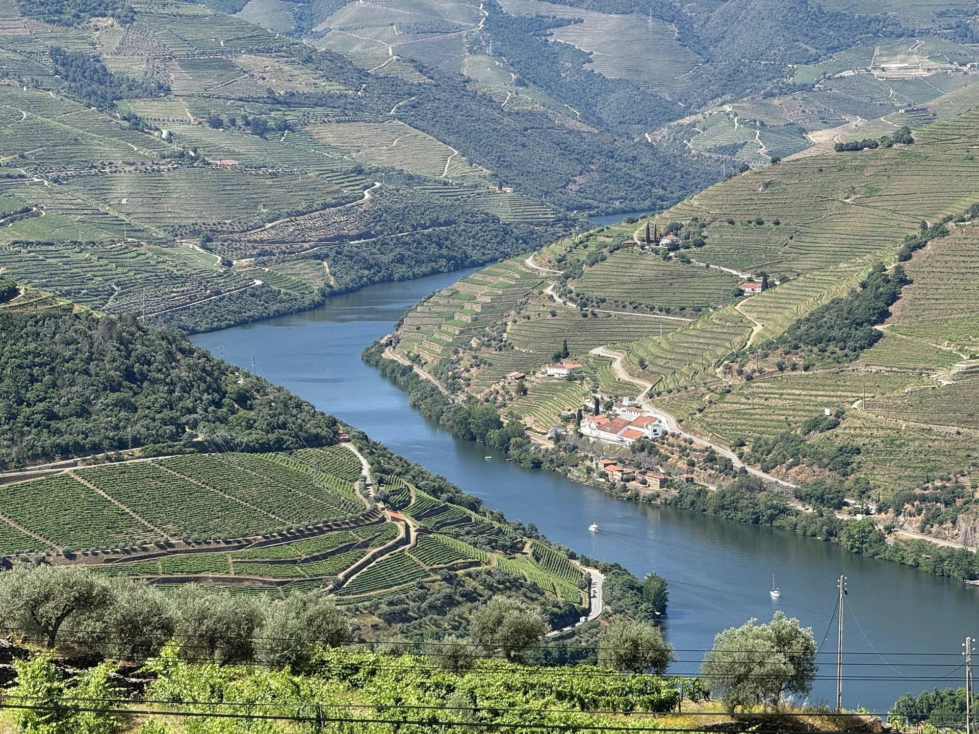 Douro and Dão multi-day wine trip