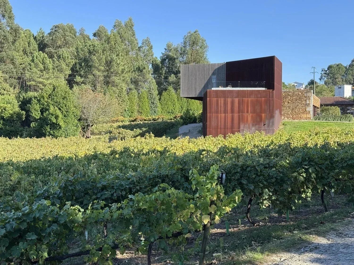 Vinho Verde and Douro vineyards