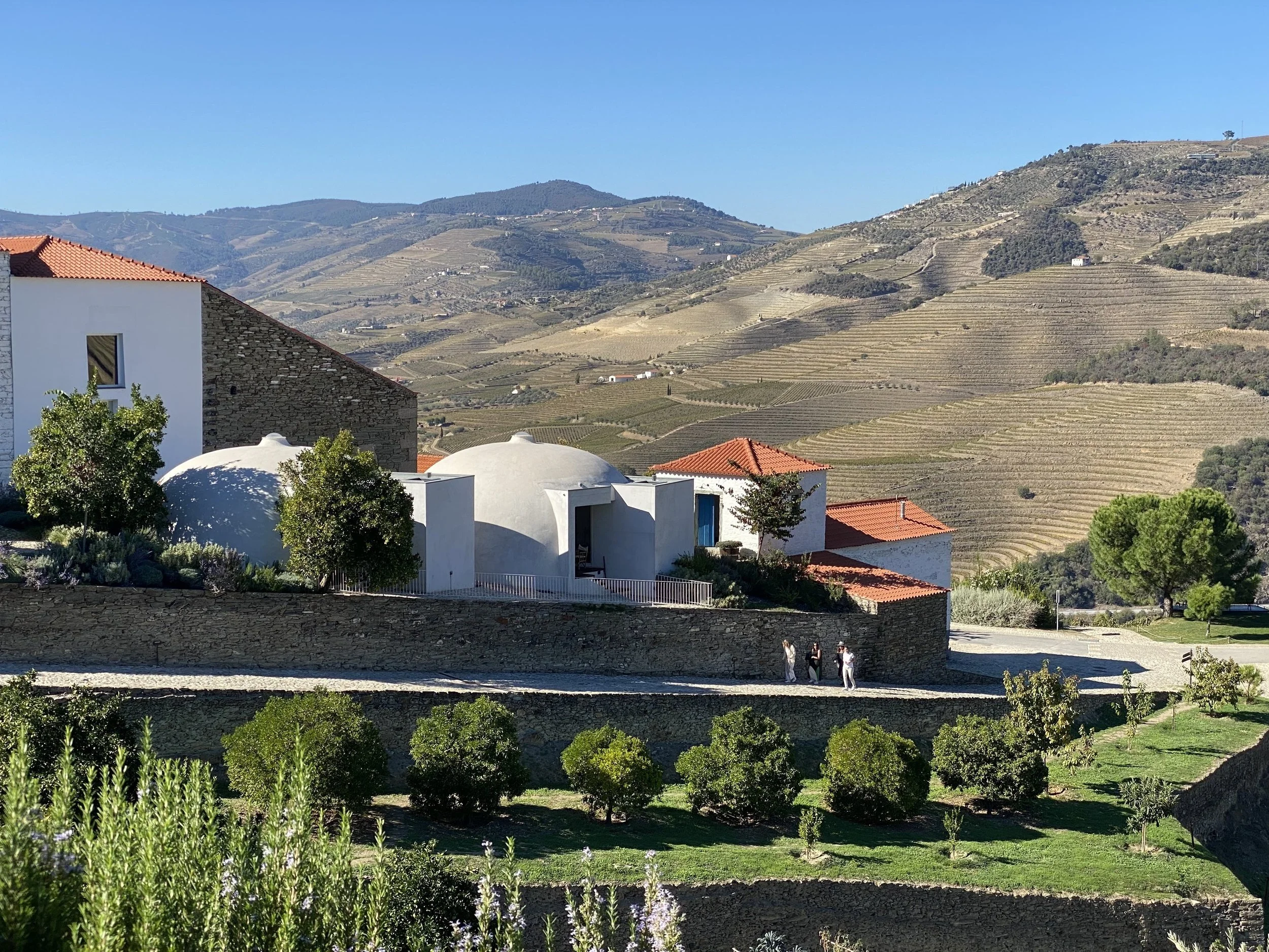 The white buildings of Quinta de Ventozelo among olive trees and Douro hills.