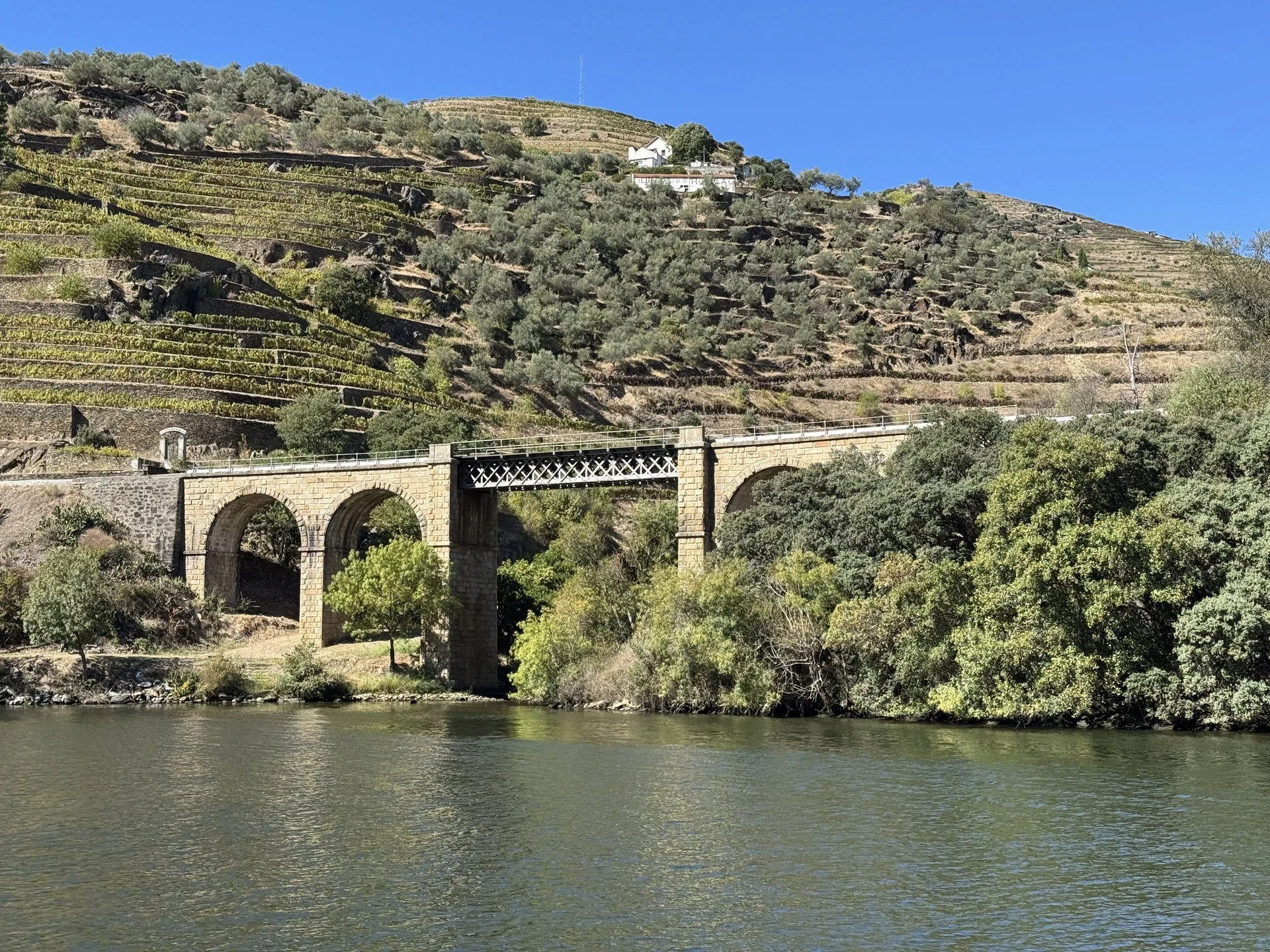 An old stone bridge over the Douro River below terraced vineyards near Pinhão.