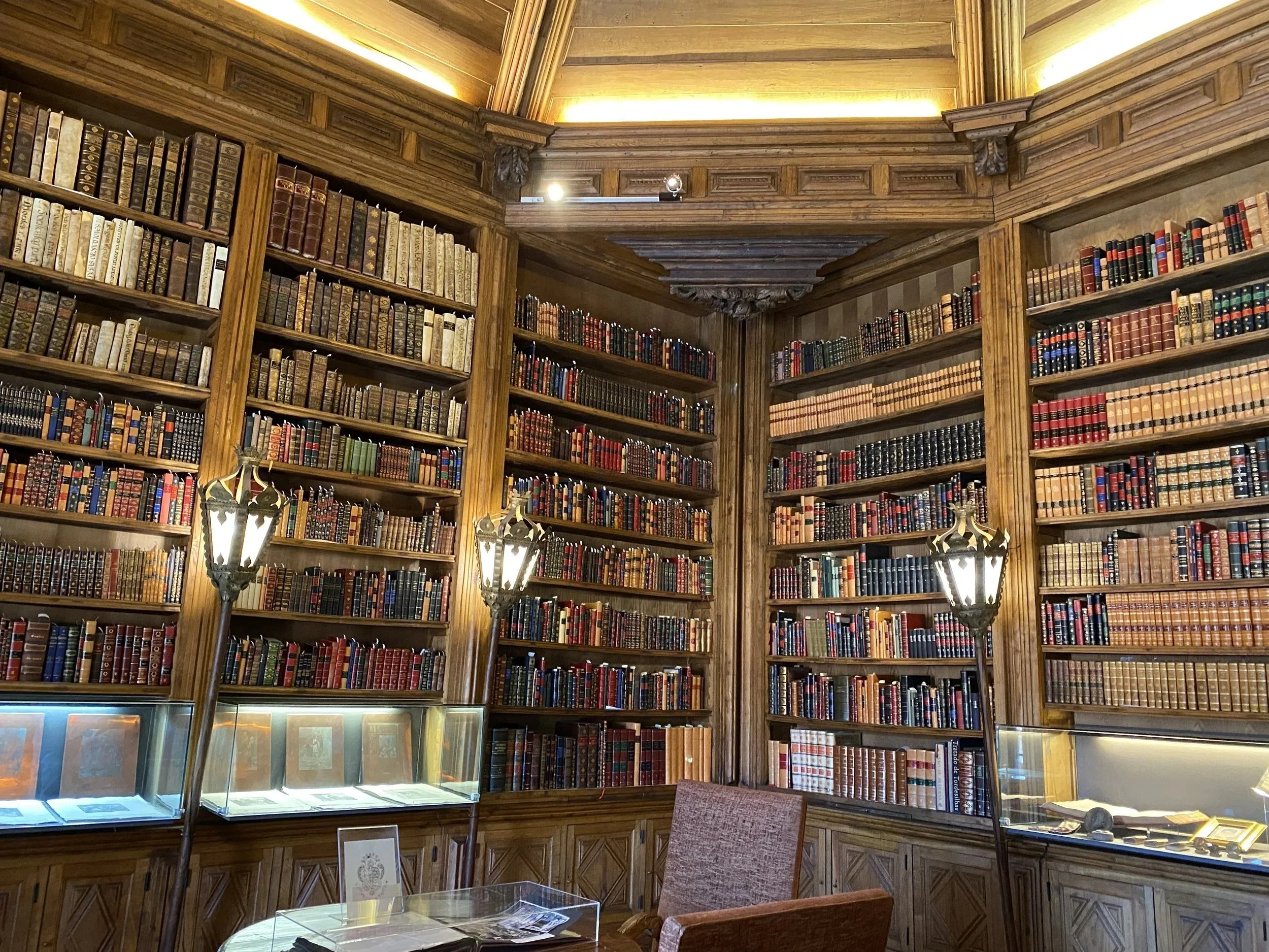 The historic library inside the Mateus Palace.