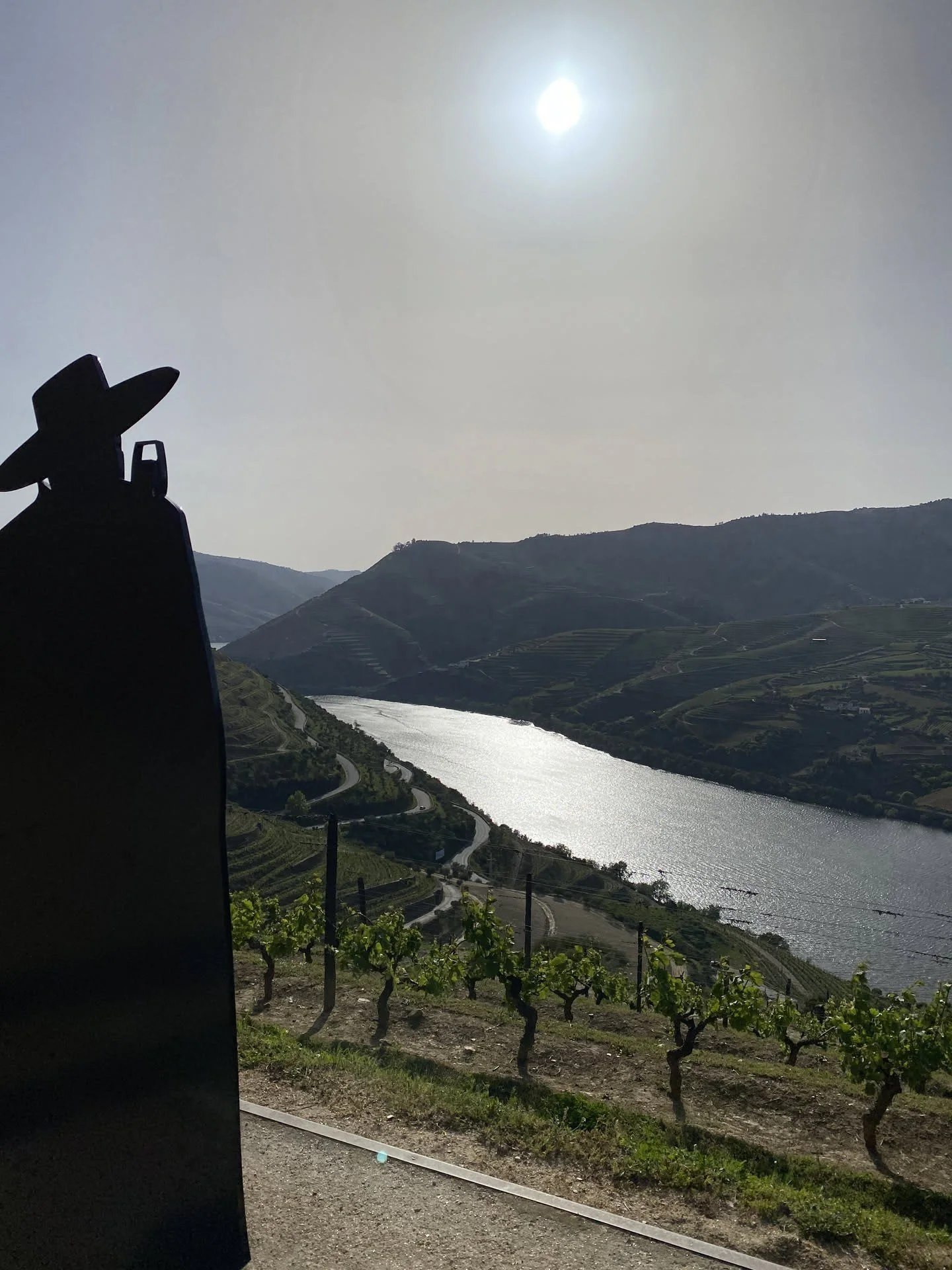 The Sandeman silhouette looking over the Douro’s terraced vineyards at Quinta do Seixo.