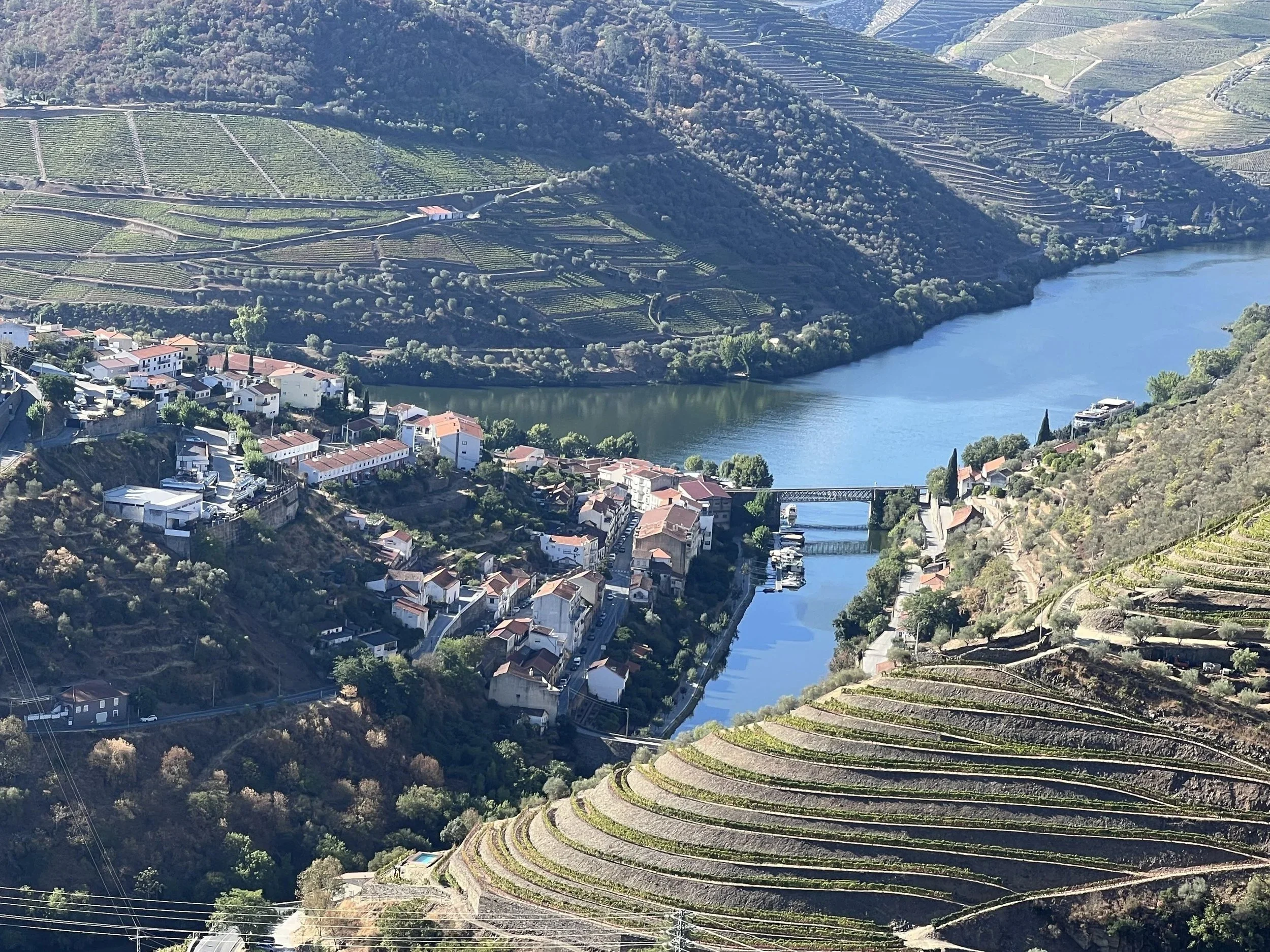 Pinhão and the Douro River from above, with terraced vineyards on both banks.