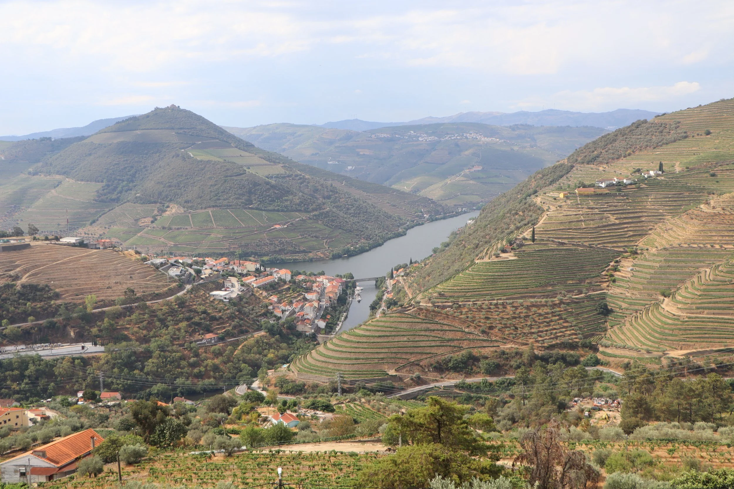 Douro Valley Essentials day in the vineyards