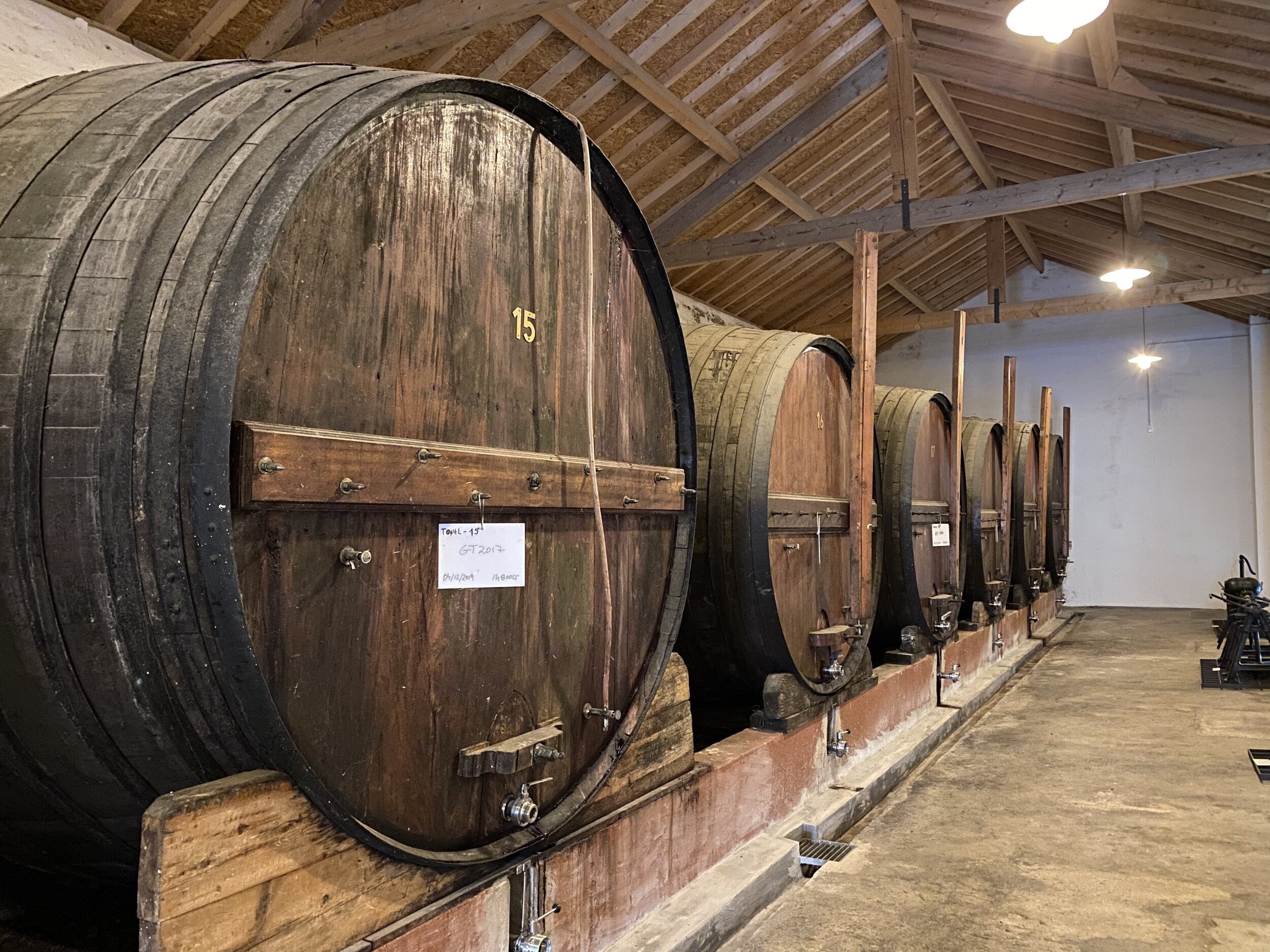 Large old wooden casks in a Douro cellar.