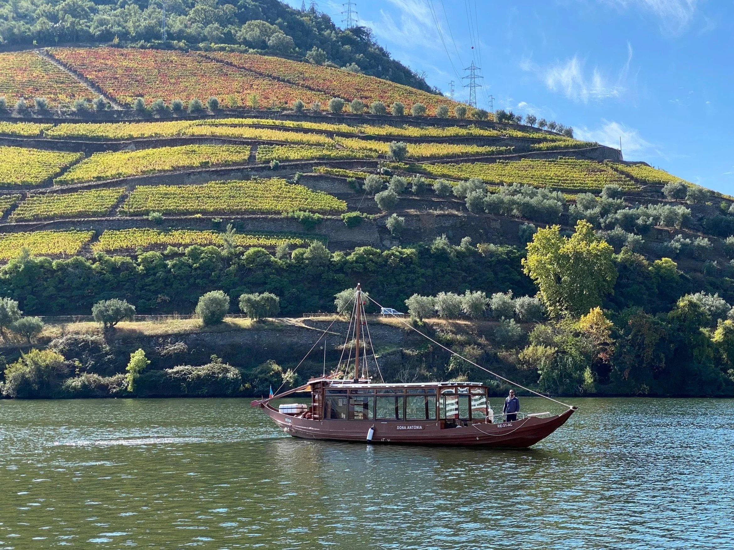A traditional Douro boat on the river below terraced vineyards near Pinhão.