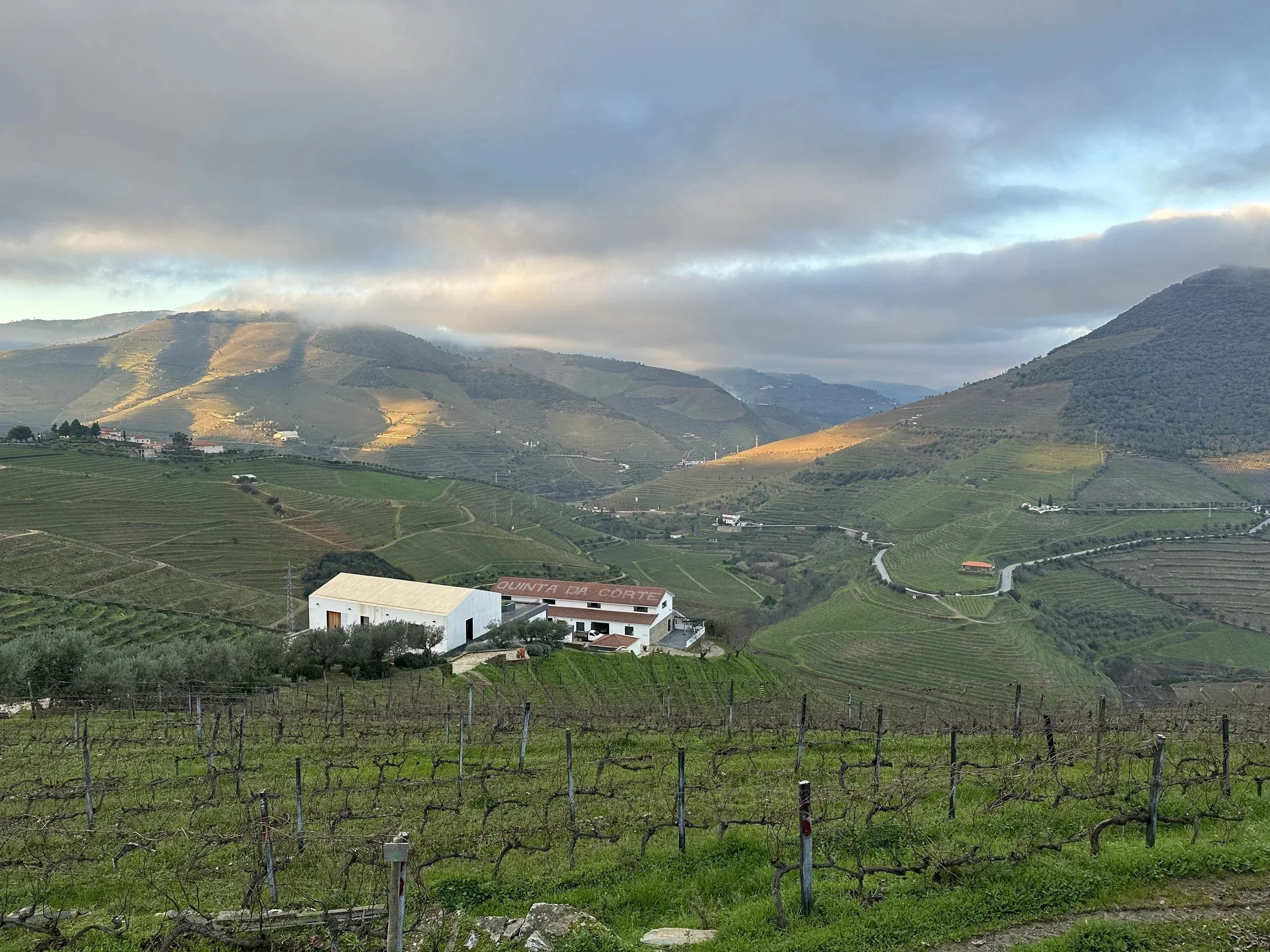 Cooking class with Chef João in the Douro