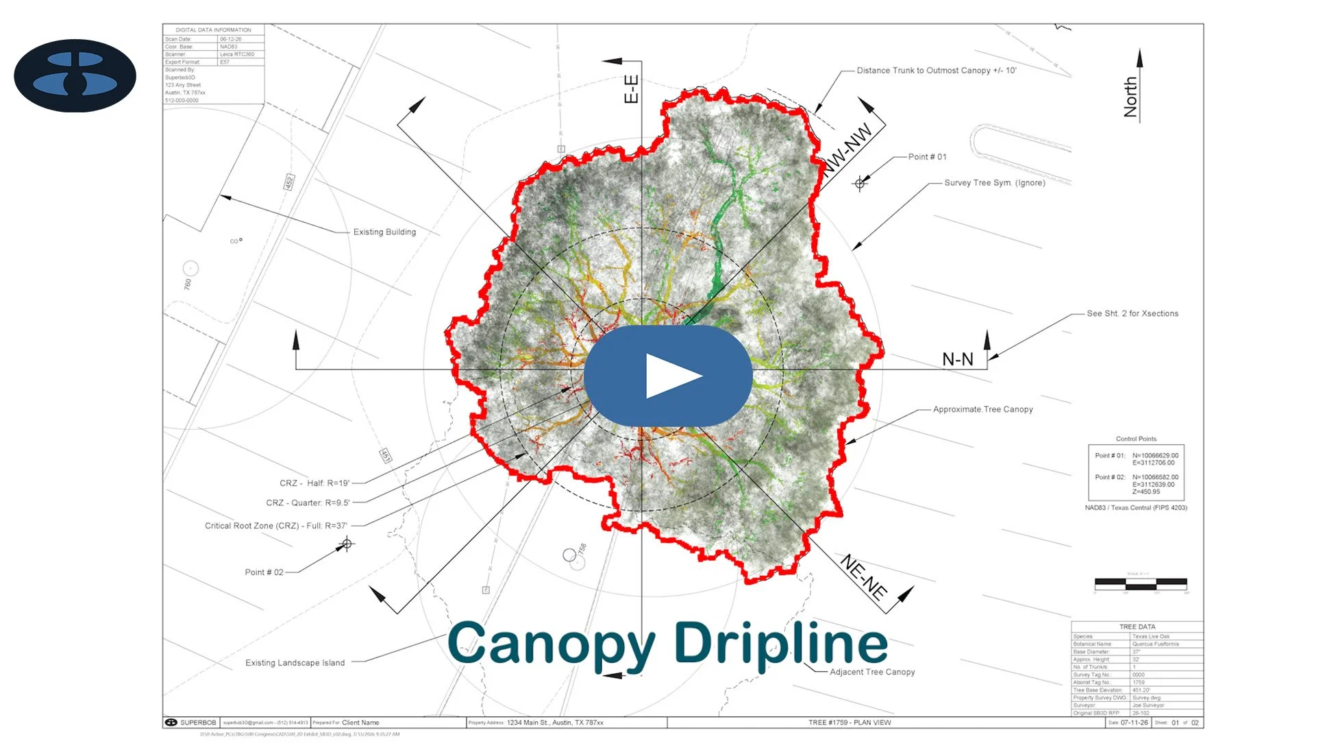 2D Exhibits generated from 3D LiDAR point cloud data and which quantify the organic complexity of trees