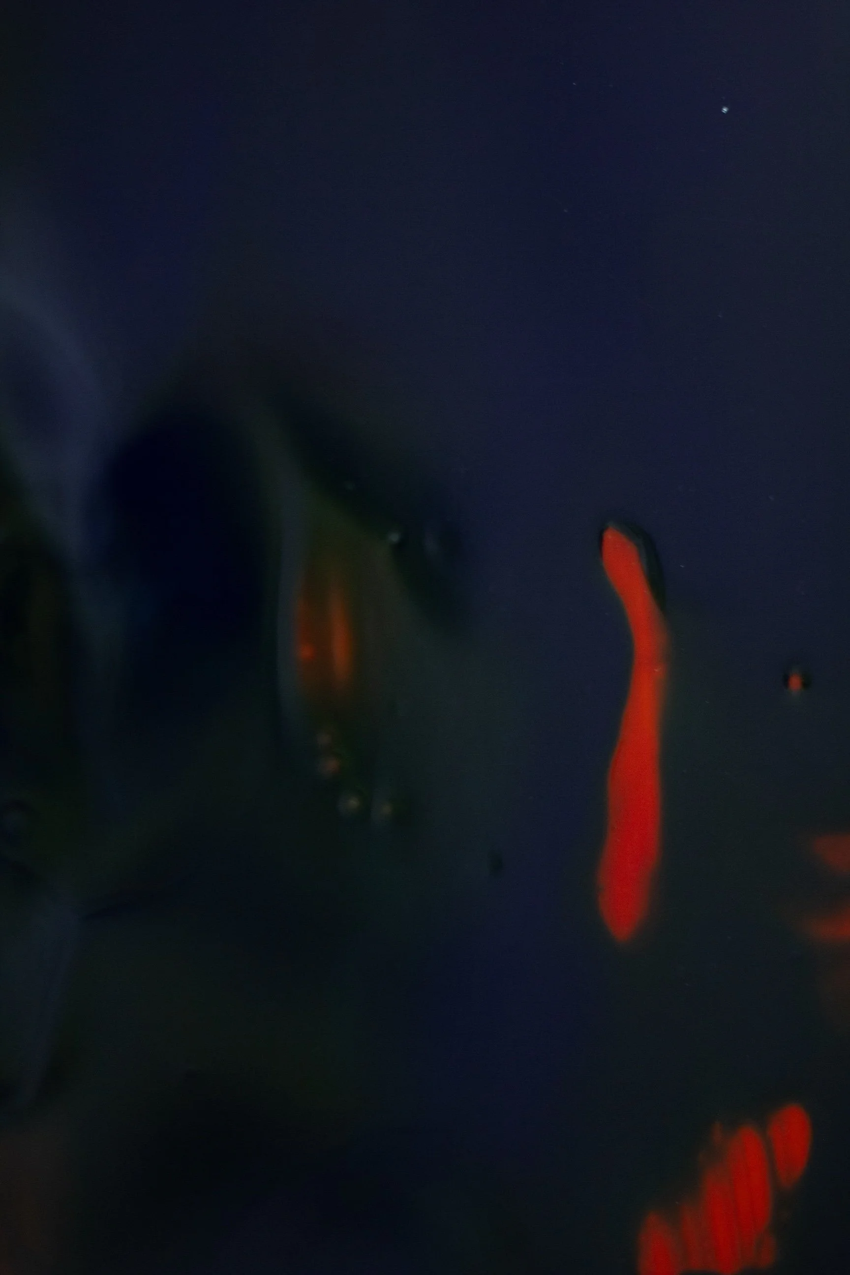 Resonance_TheSpace_2025_20.JPG