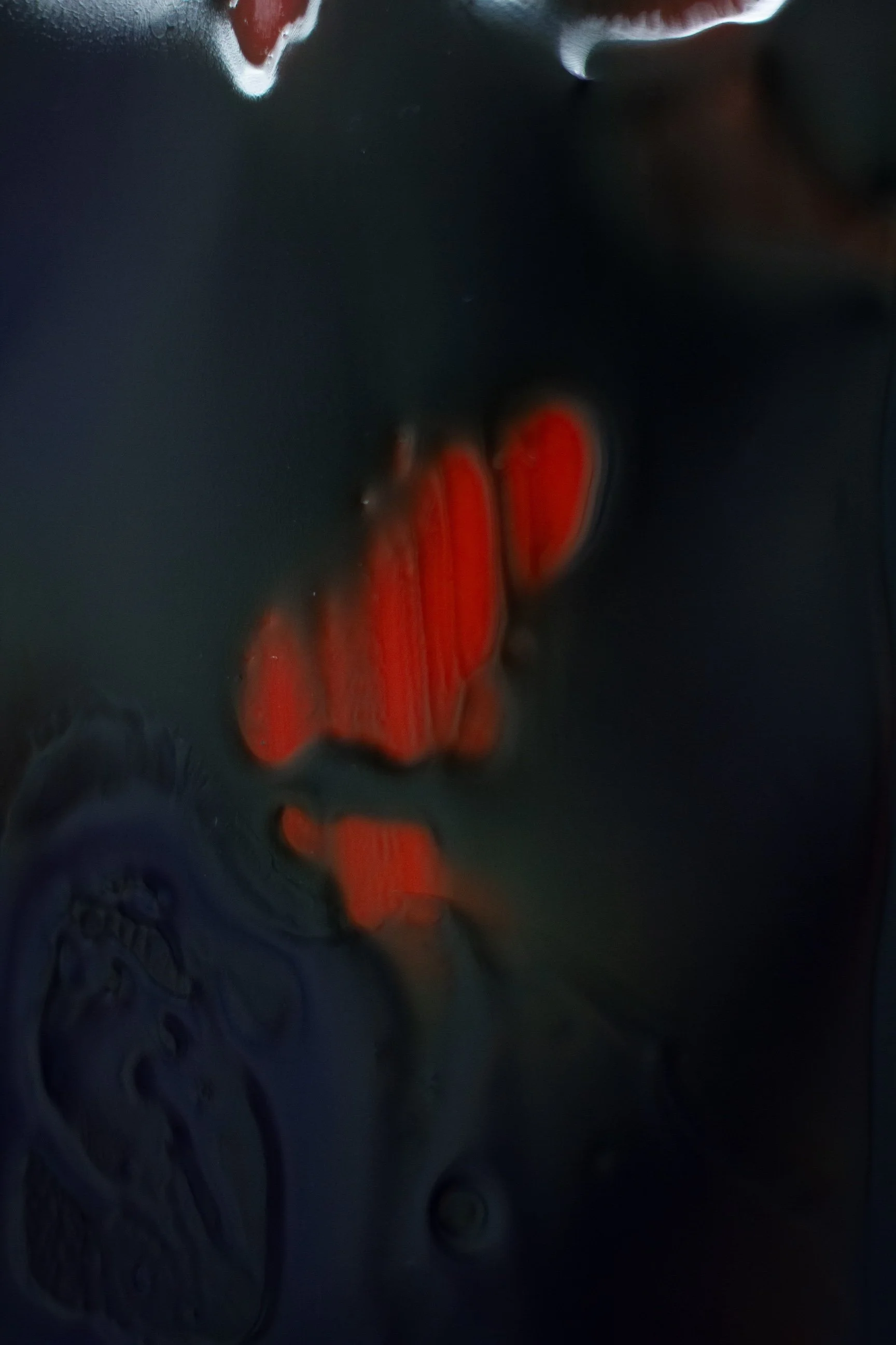 Resonance_TheSpace_2025_16.JPG