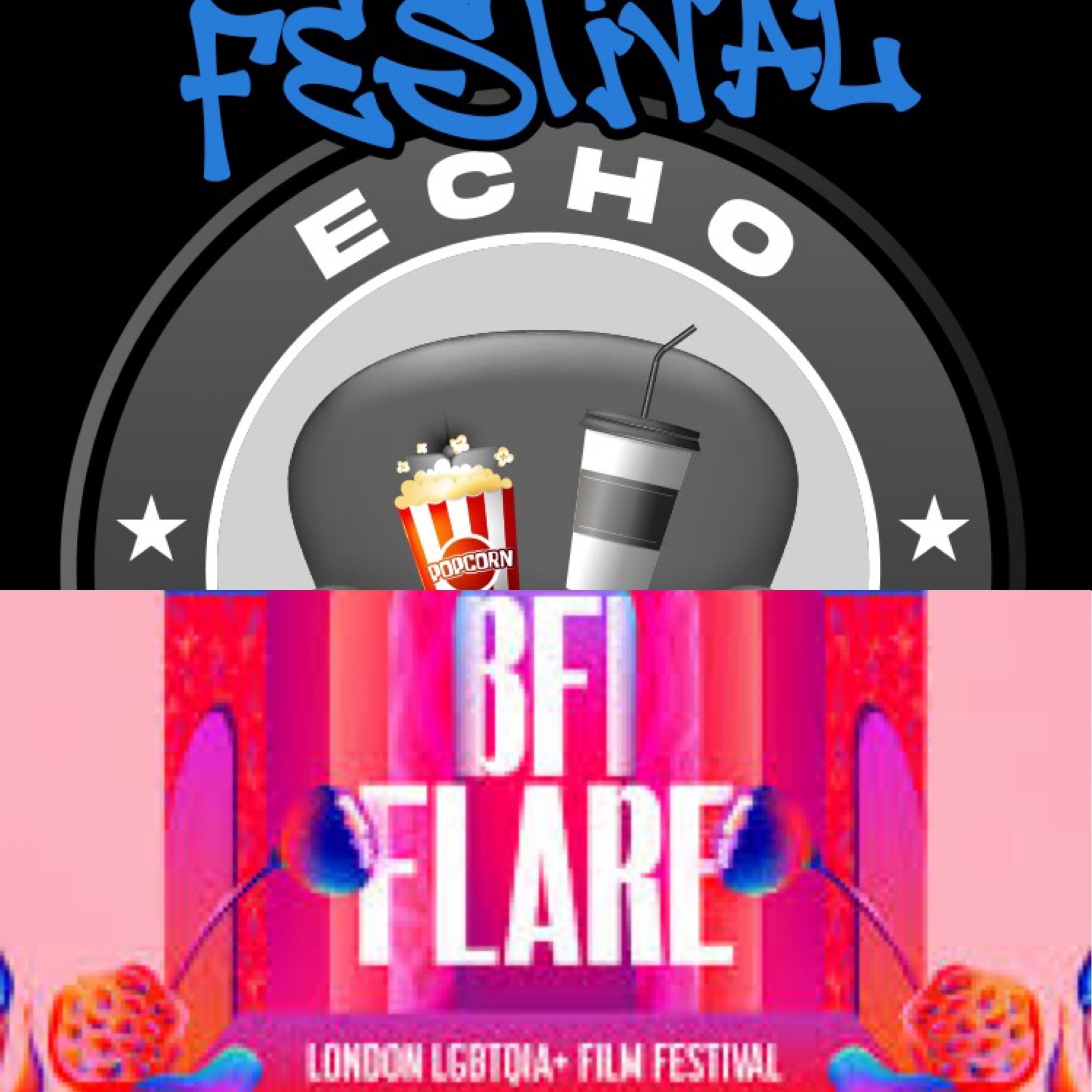 Echo Chamber - BFIFlare26 - Introduction (40th anniversary of BFI Flare)