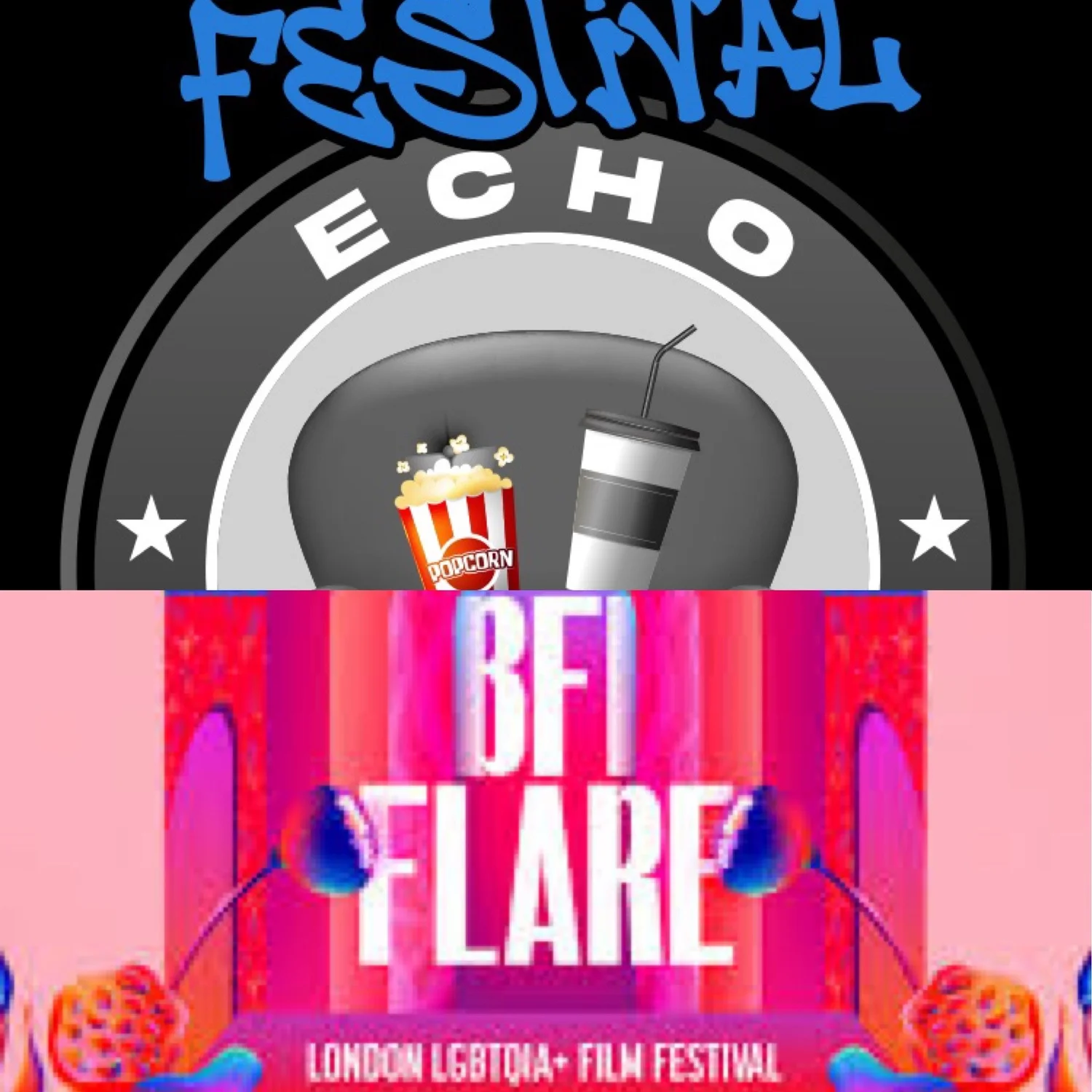 Echo Chamber – BFIFlare26 – Introduction (40th anniversary of BFI Flare)