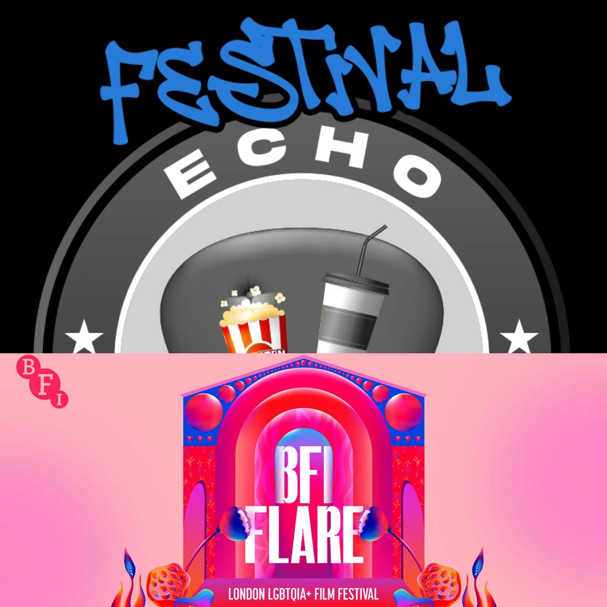 Echo Chamber - BFIFlare26 - Logo