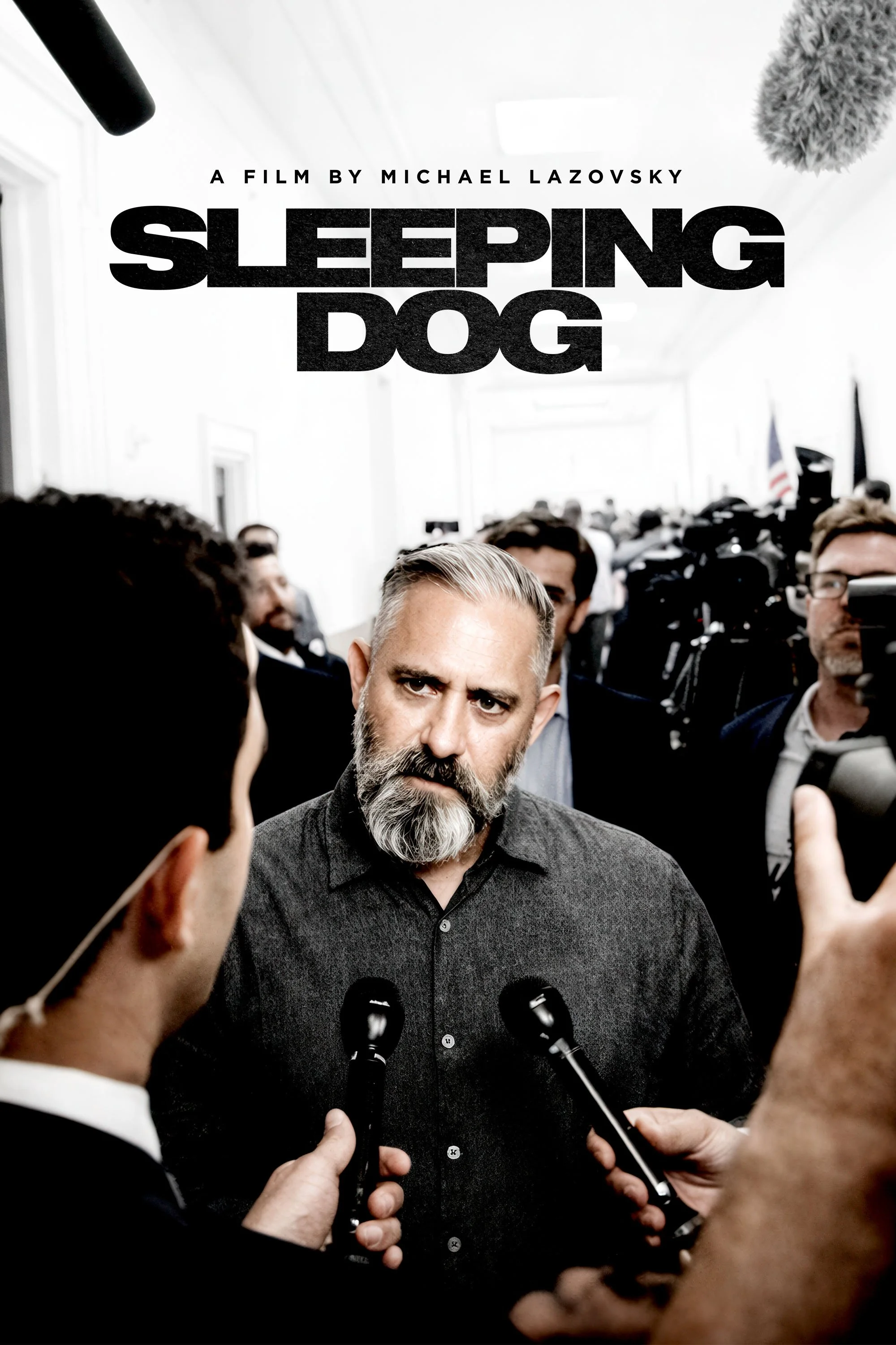 Sleeping Dog - Poster
