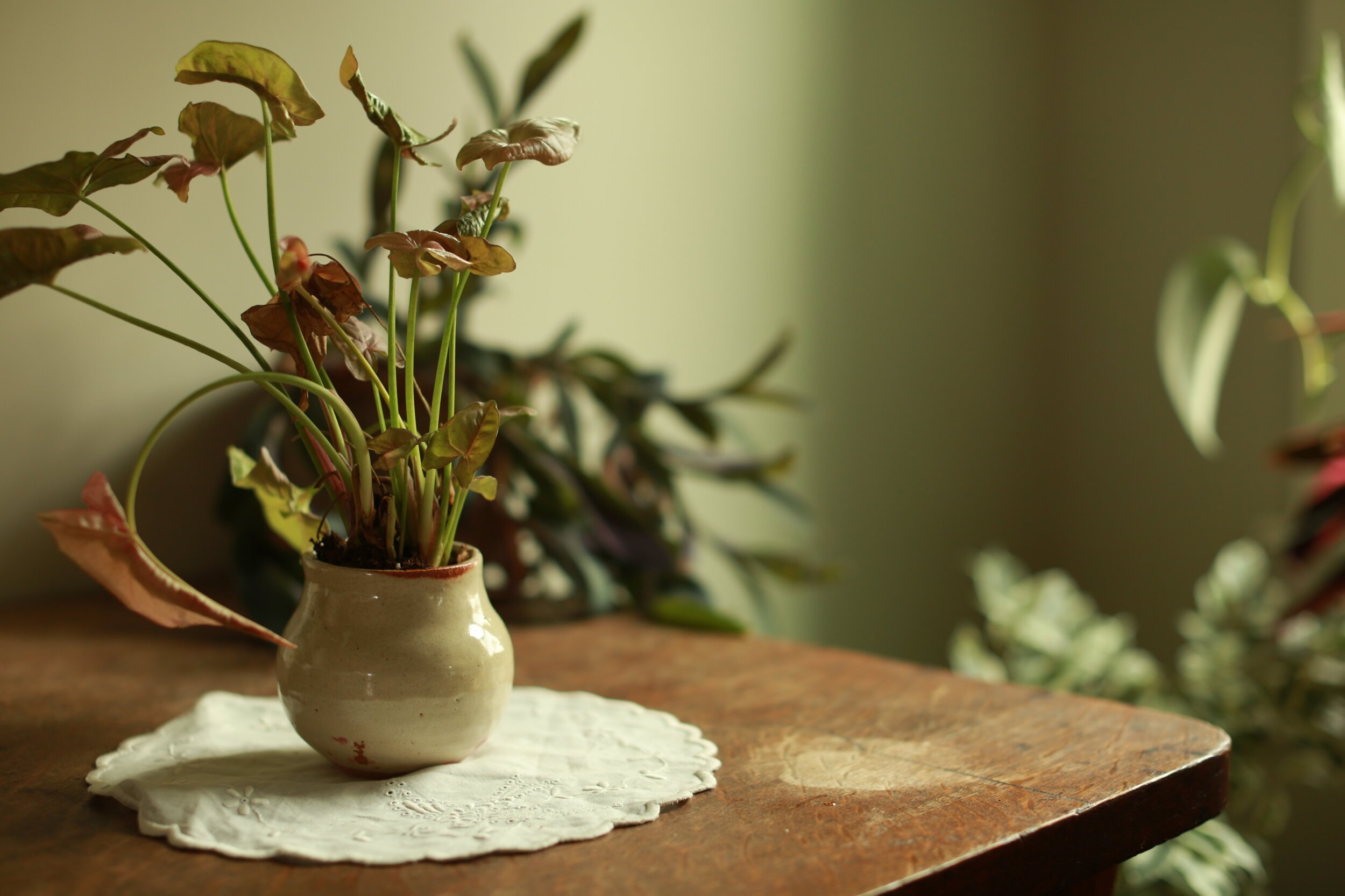 erin-smith-ceramics-20.jpg