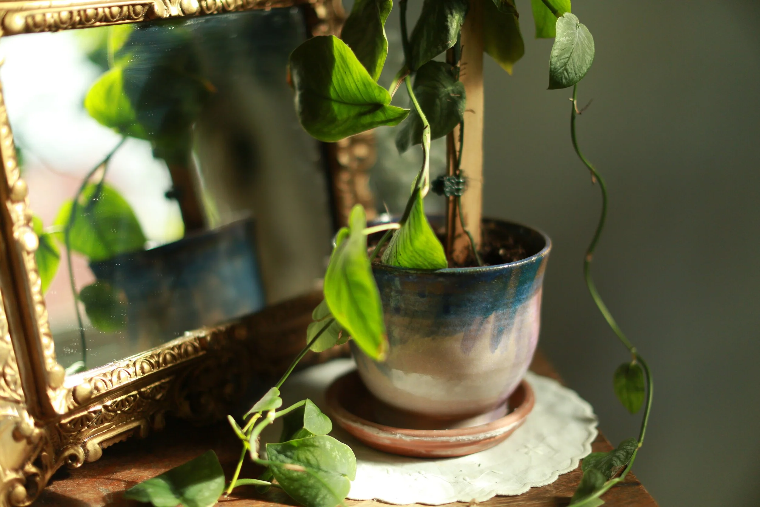 erin-smith-ceramics-11.jpg