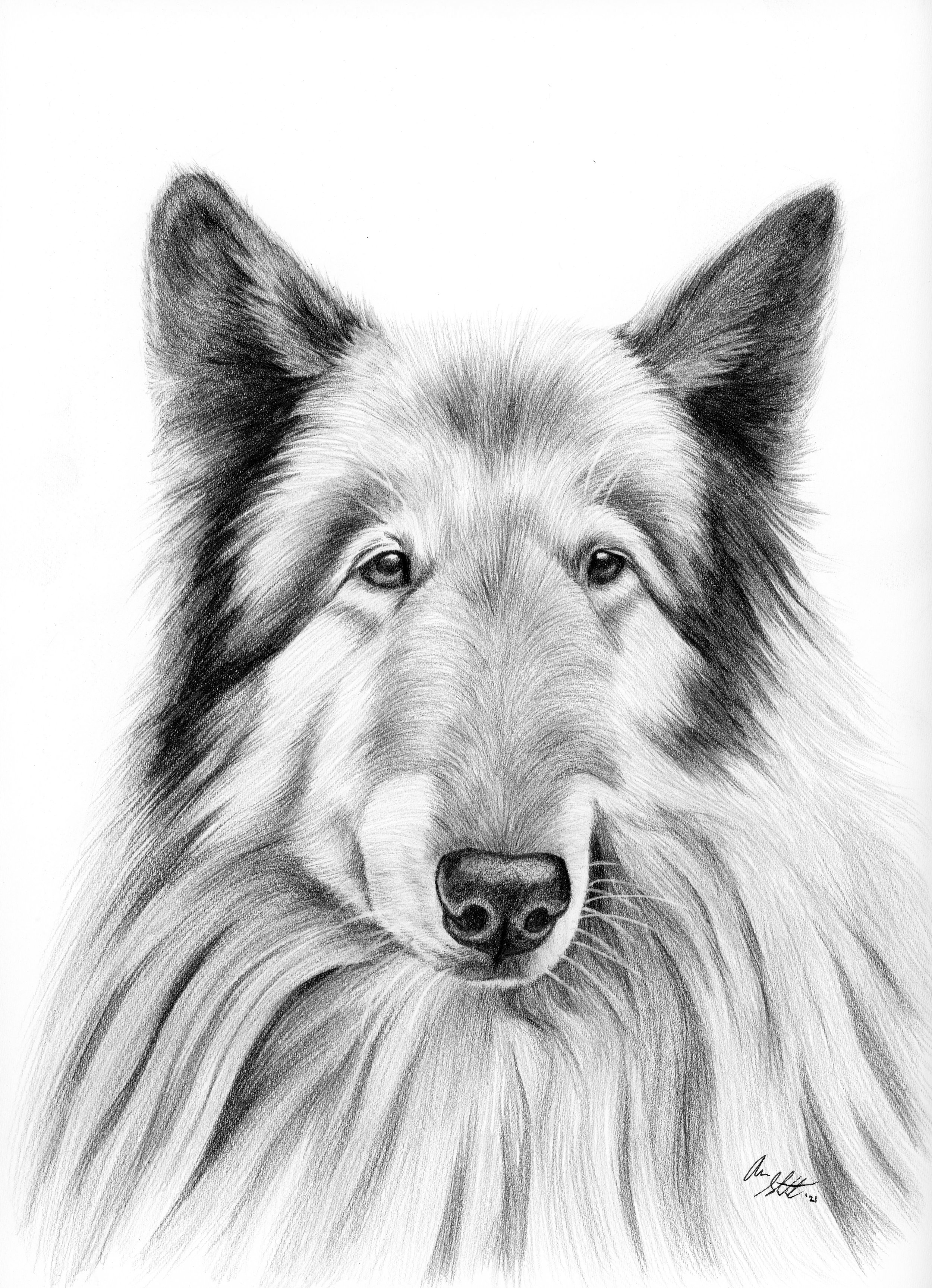 Tex (9x12" graphite pencil on Fabriano Artistico hot press watercolor paper)