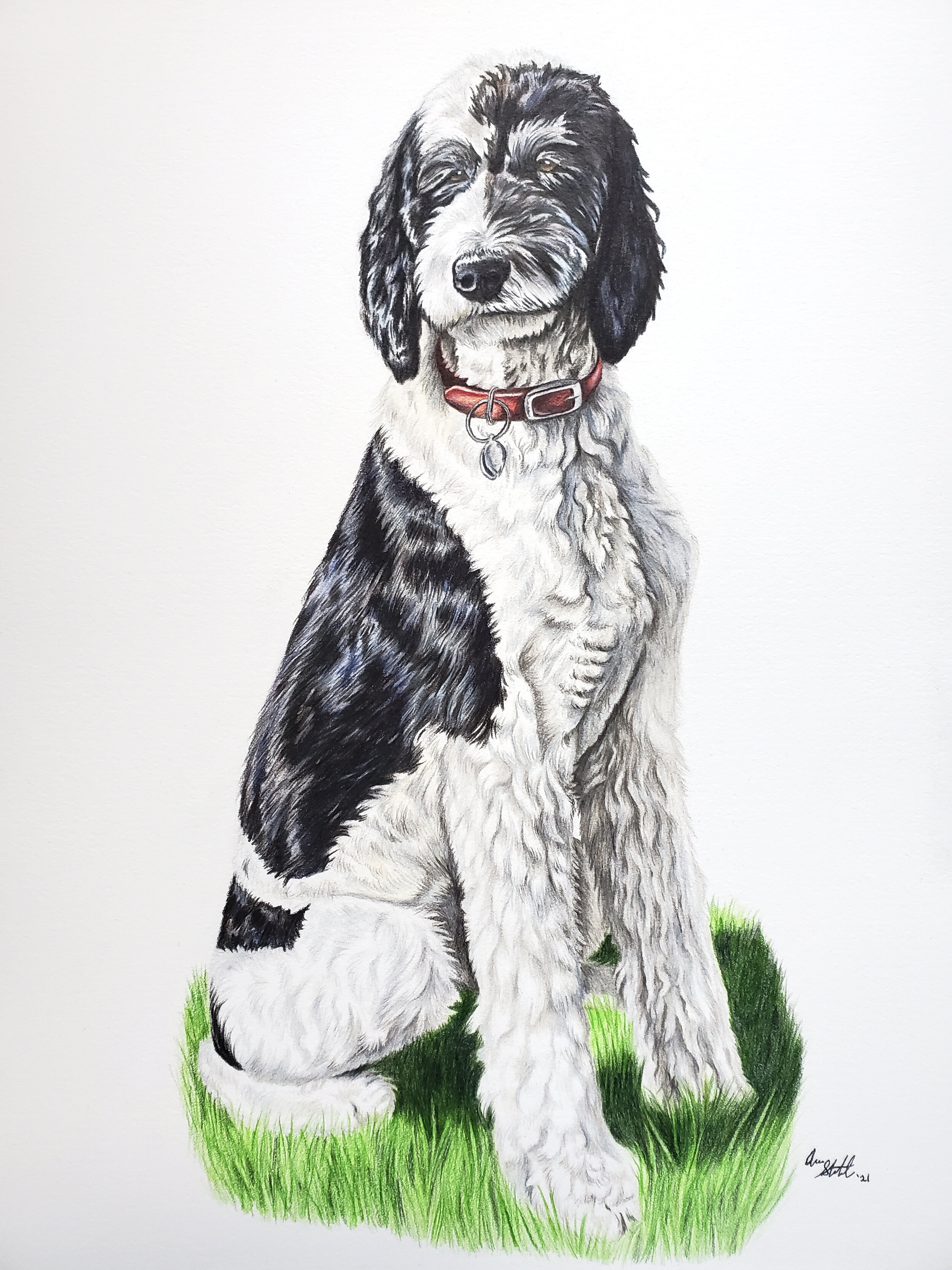 Popper (9x12" colored pencil on Fabriano Artistico hot press watercolor paper)