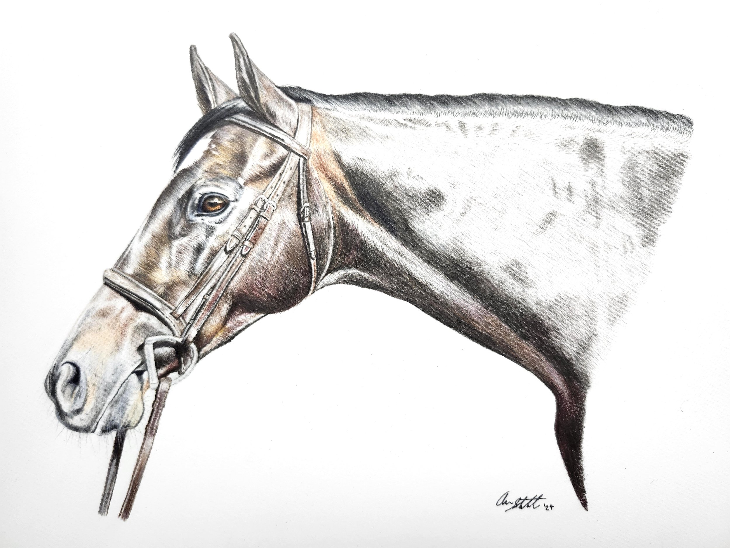 Lacey the horse (9x12" colored pencil on Fabriano Artistico hot press watercolor paper)