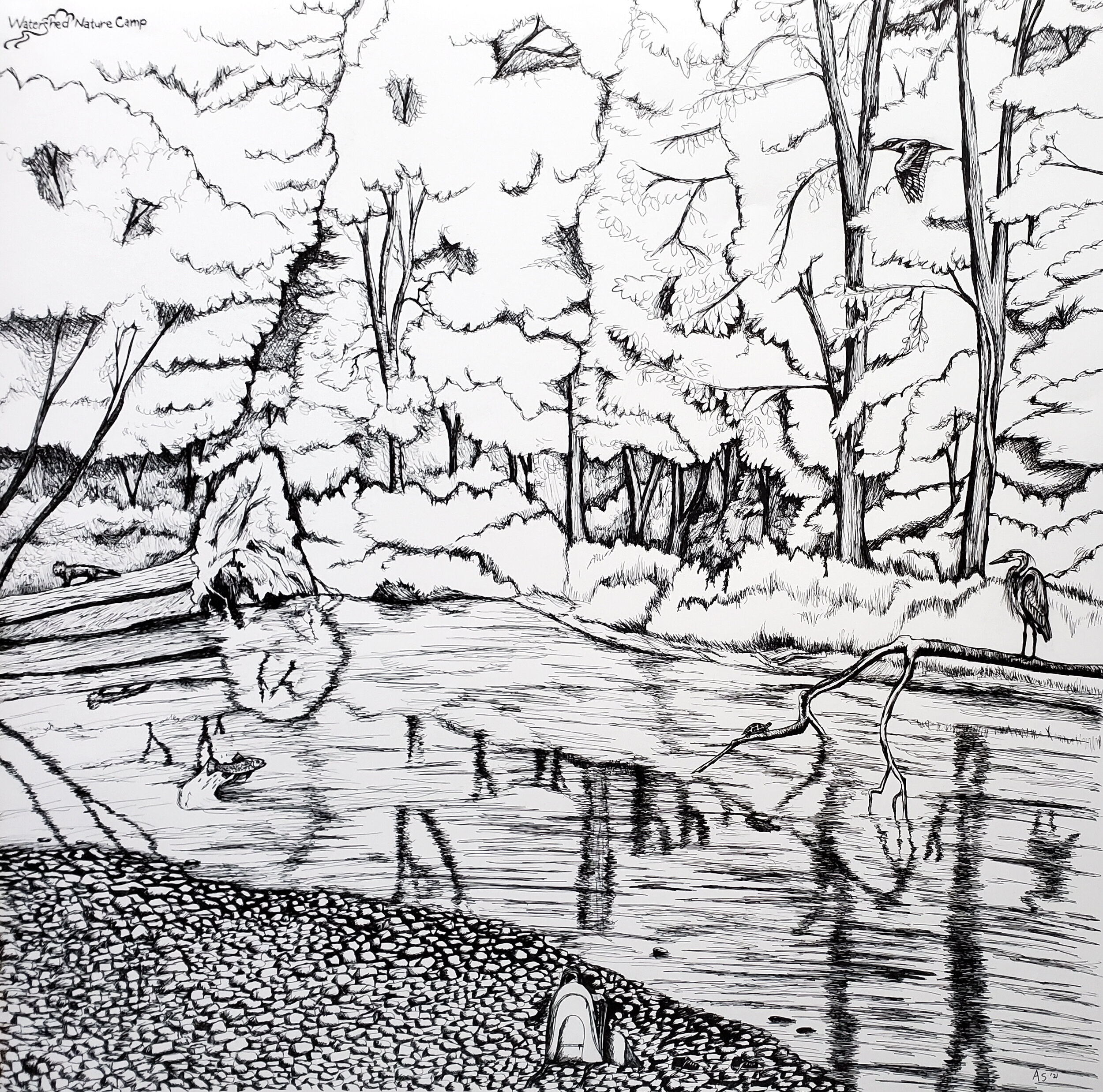 Watershed Nature Camp stream scene (22x22" bandana design for The Watershed Institute; pen on bristol paper)