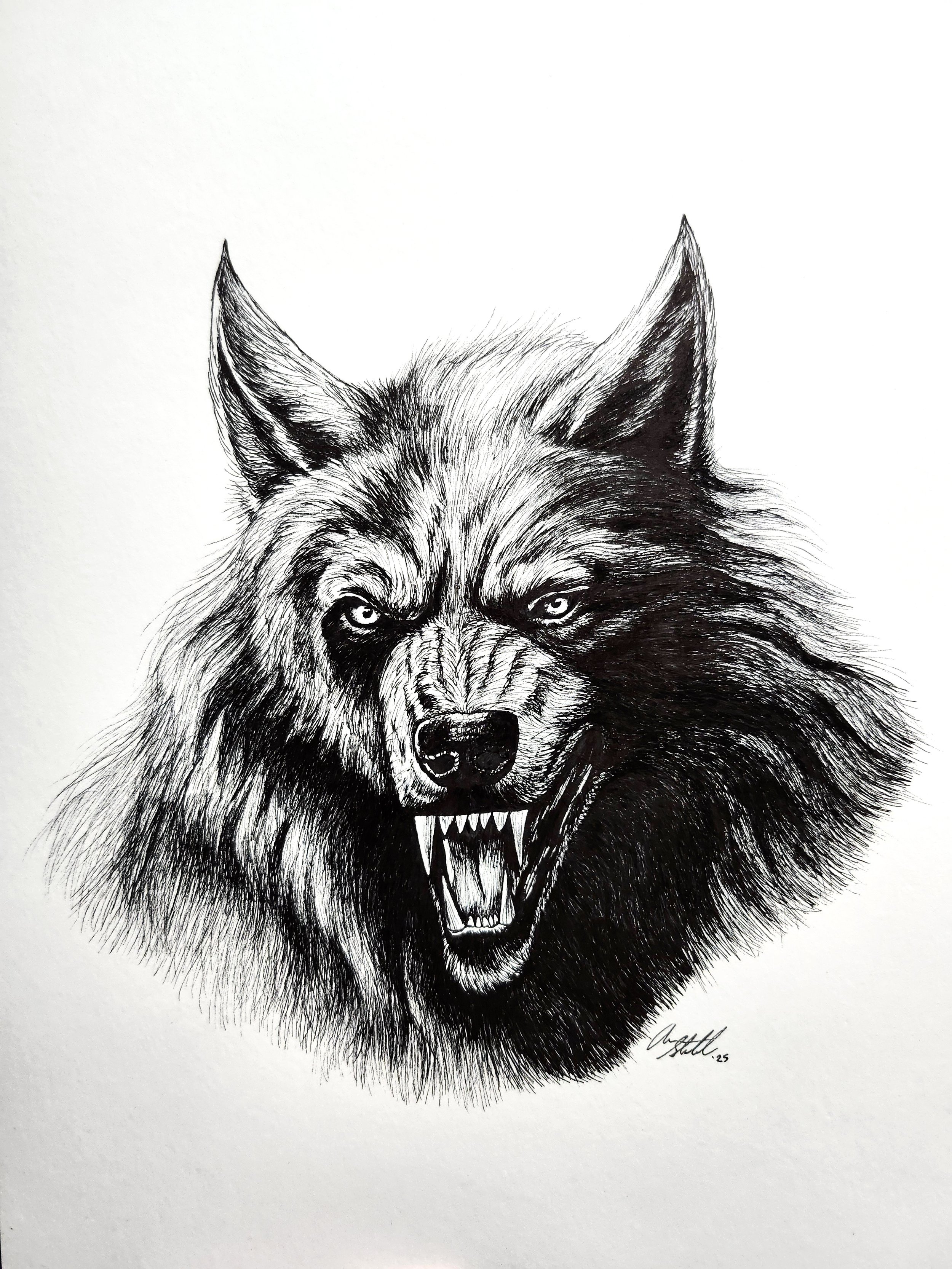 Werewolf (9x12" pen on bristol paper).