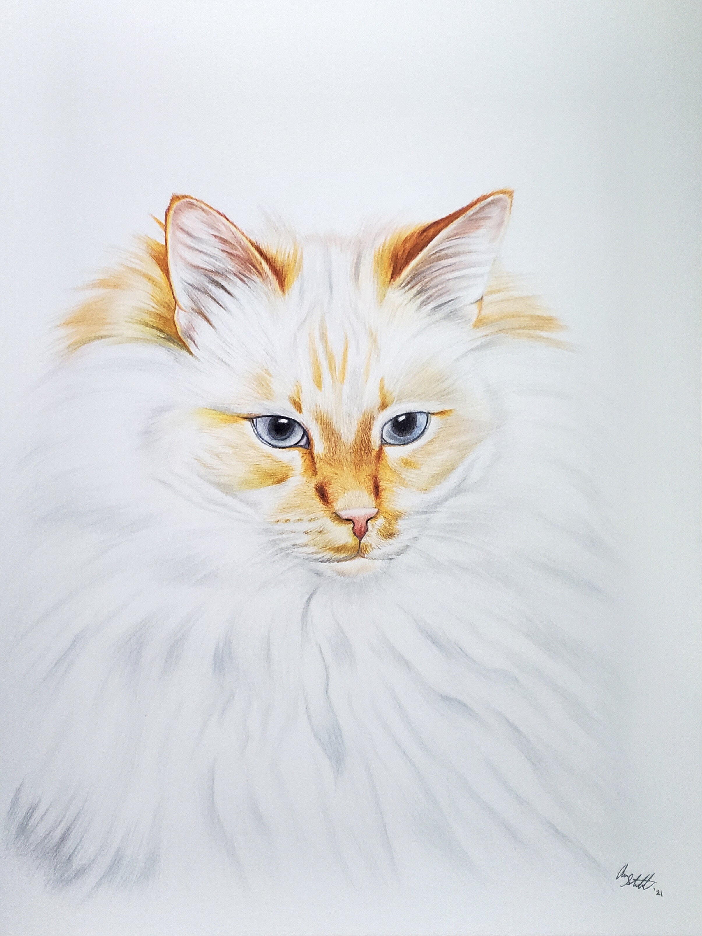 A cat portrait for a friend (9x12" colored pencil on Fabriano Artistico hot press watercolor paper)