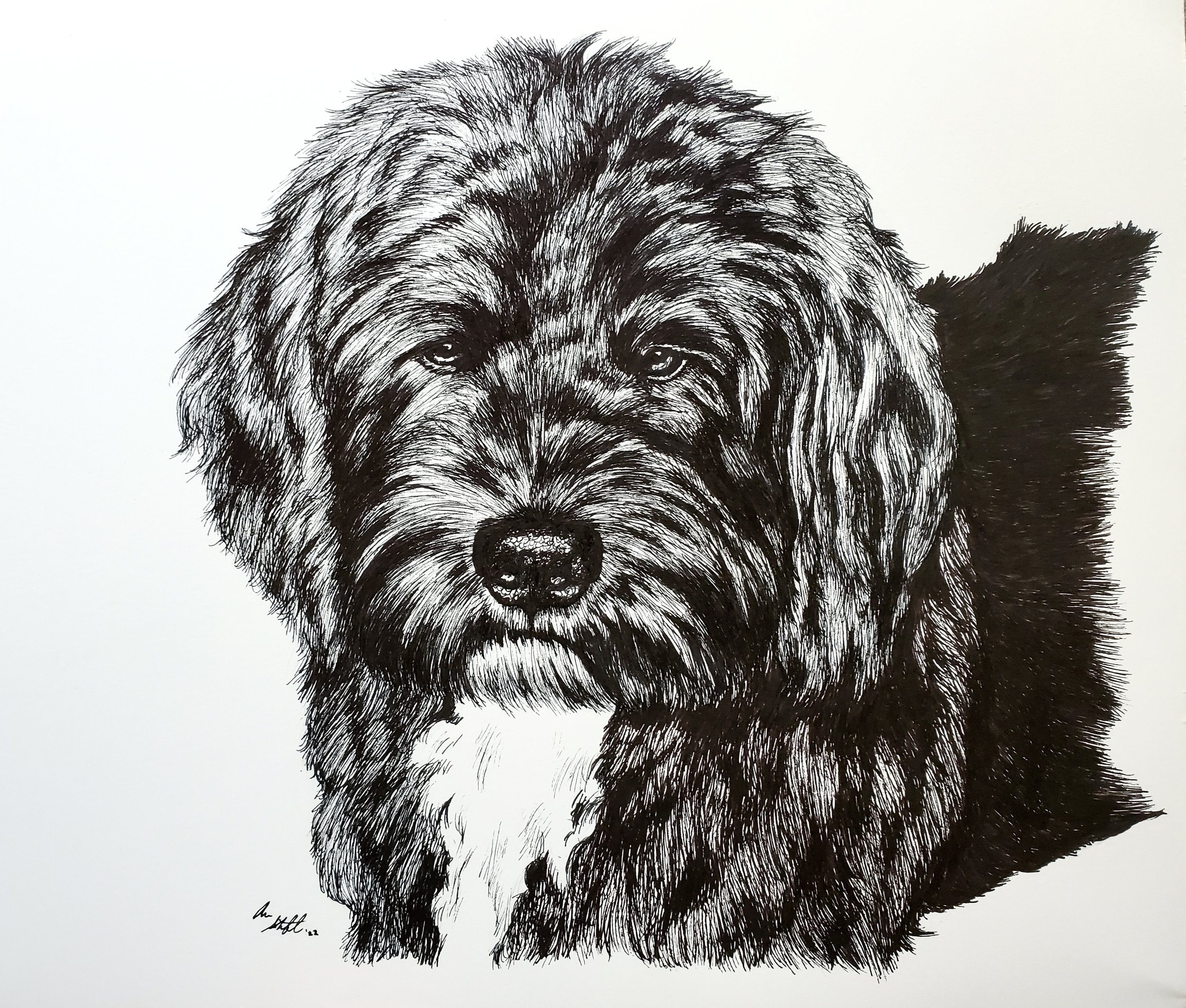 Clancy (9x12" pen on bristol paper)