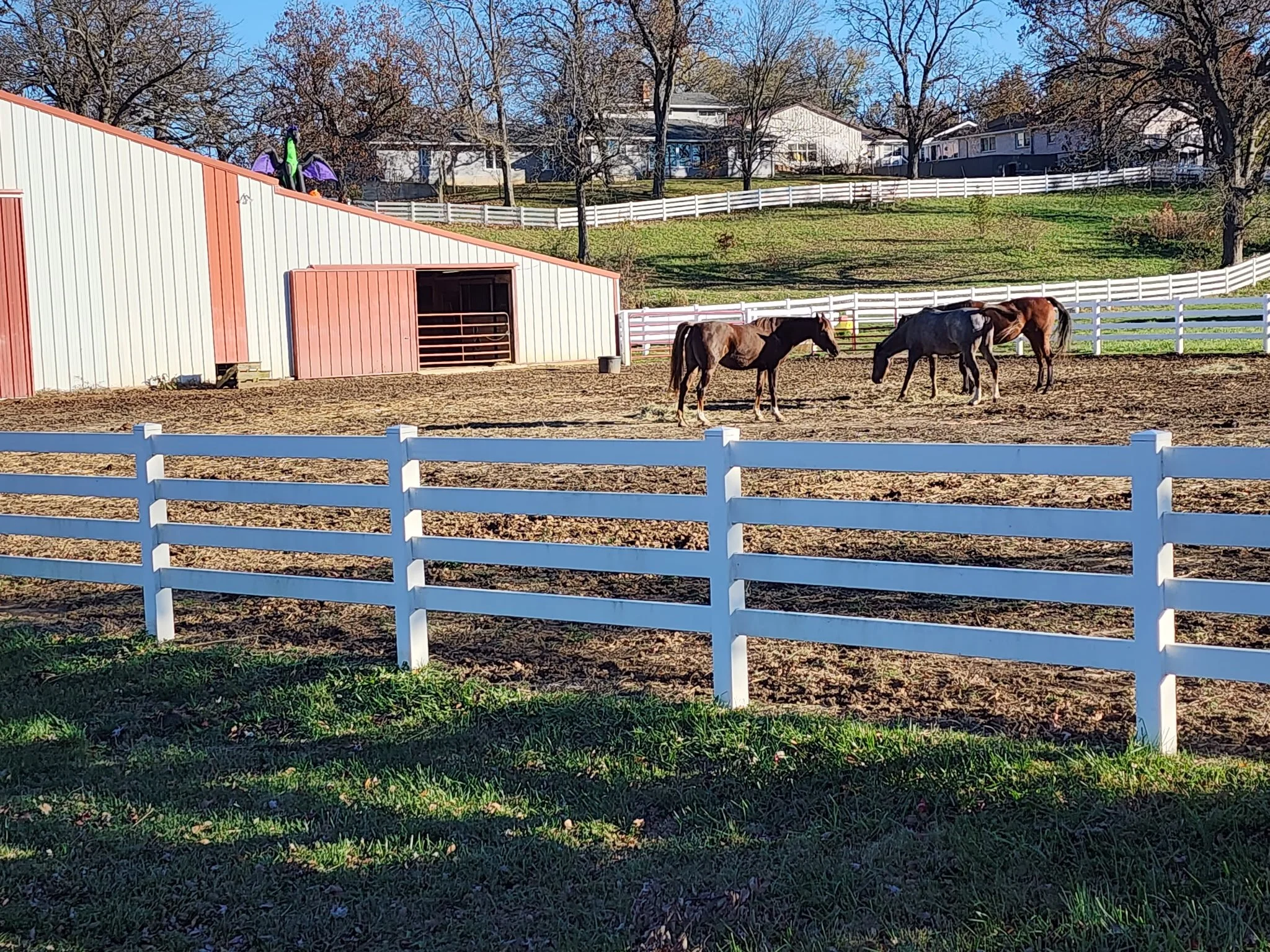 6658483731574893057 (1).JPG