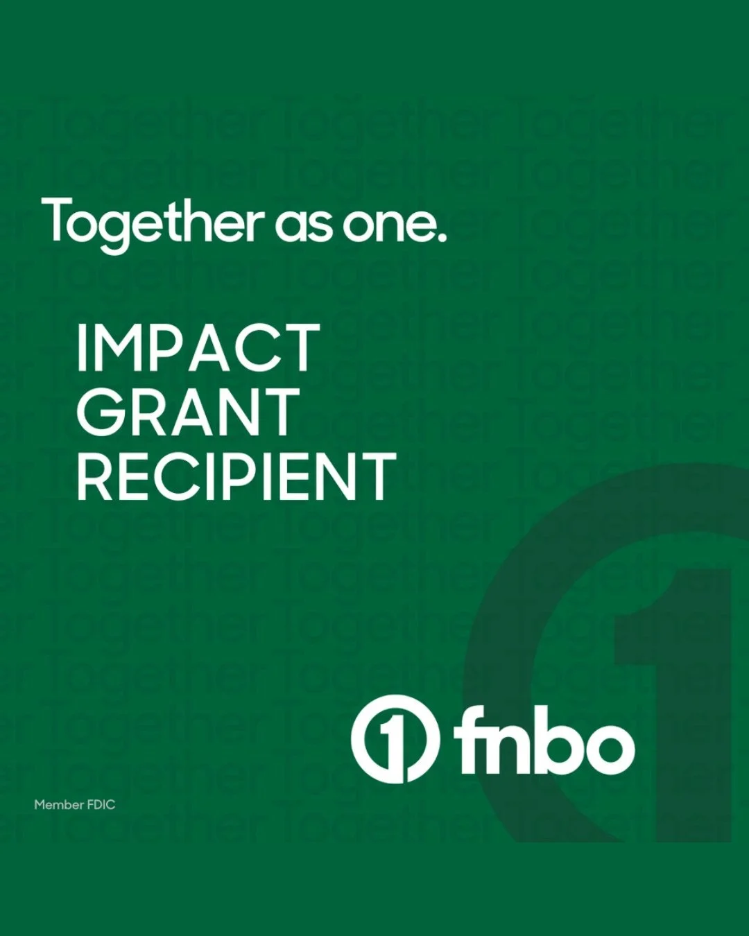 We are proud to announce we&rsquo;ve received a $10,000 Impact Grant from @FNBO to support ECHO's New American entrepreneurs in The Refinery! This funding will help us sustain our transformative small business program. 🙏 Thank you, FNBO!