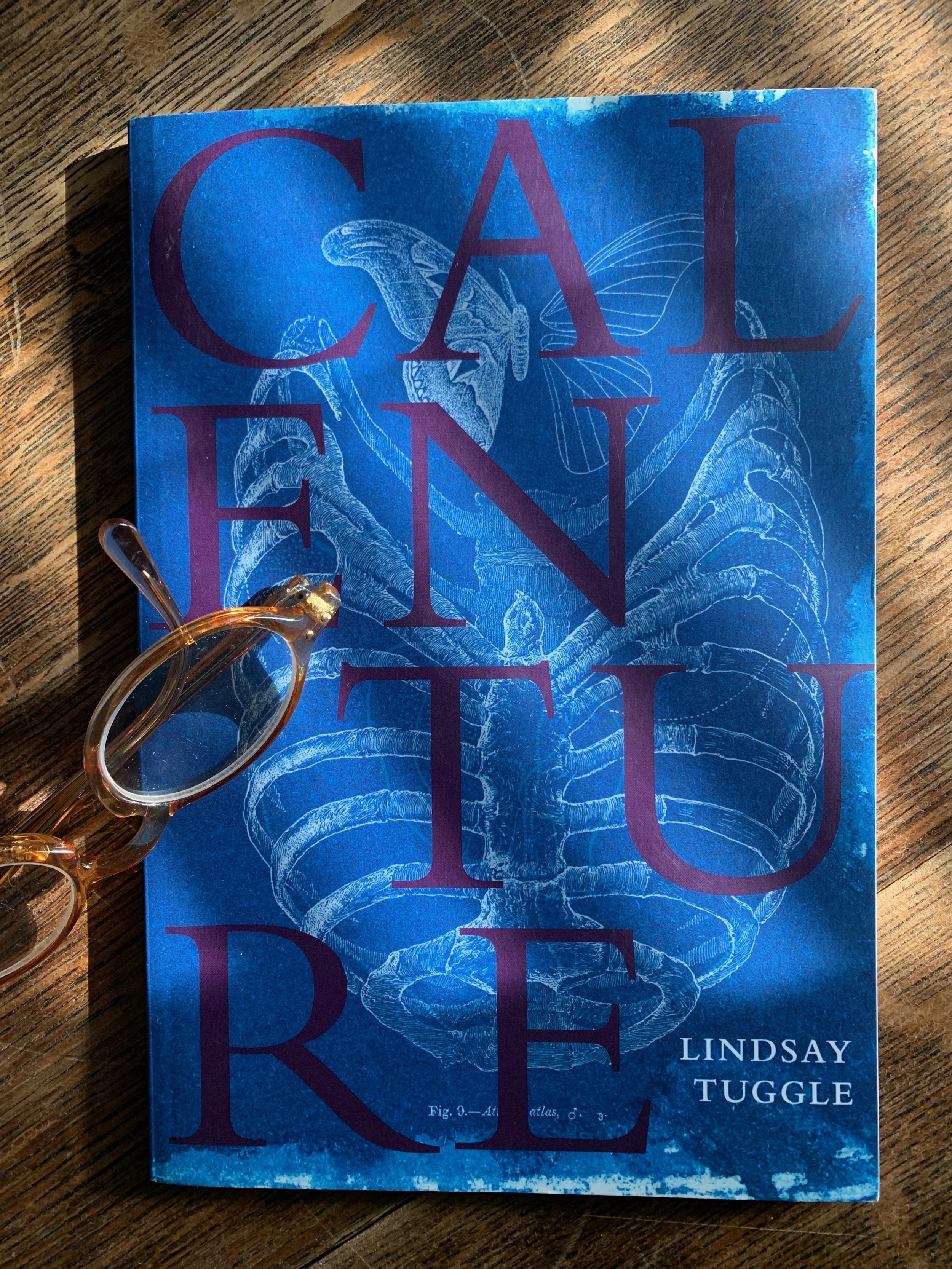 SIGNED/INSCRIBED "Calenture" 1st Edition paperback book of poems