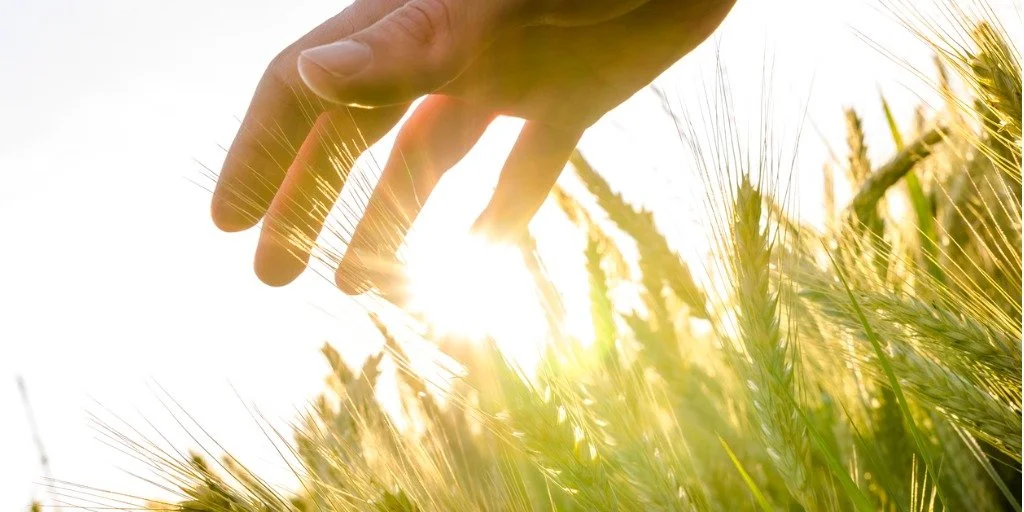 What Can I Do to Feel Better ?