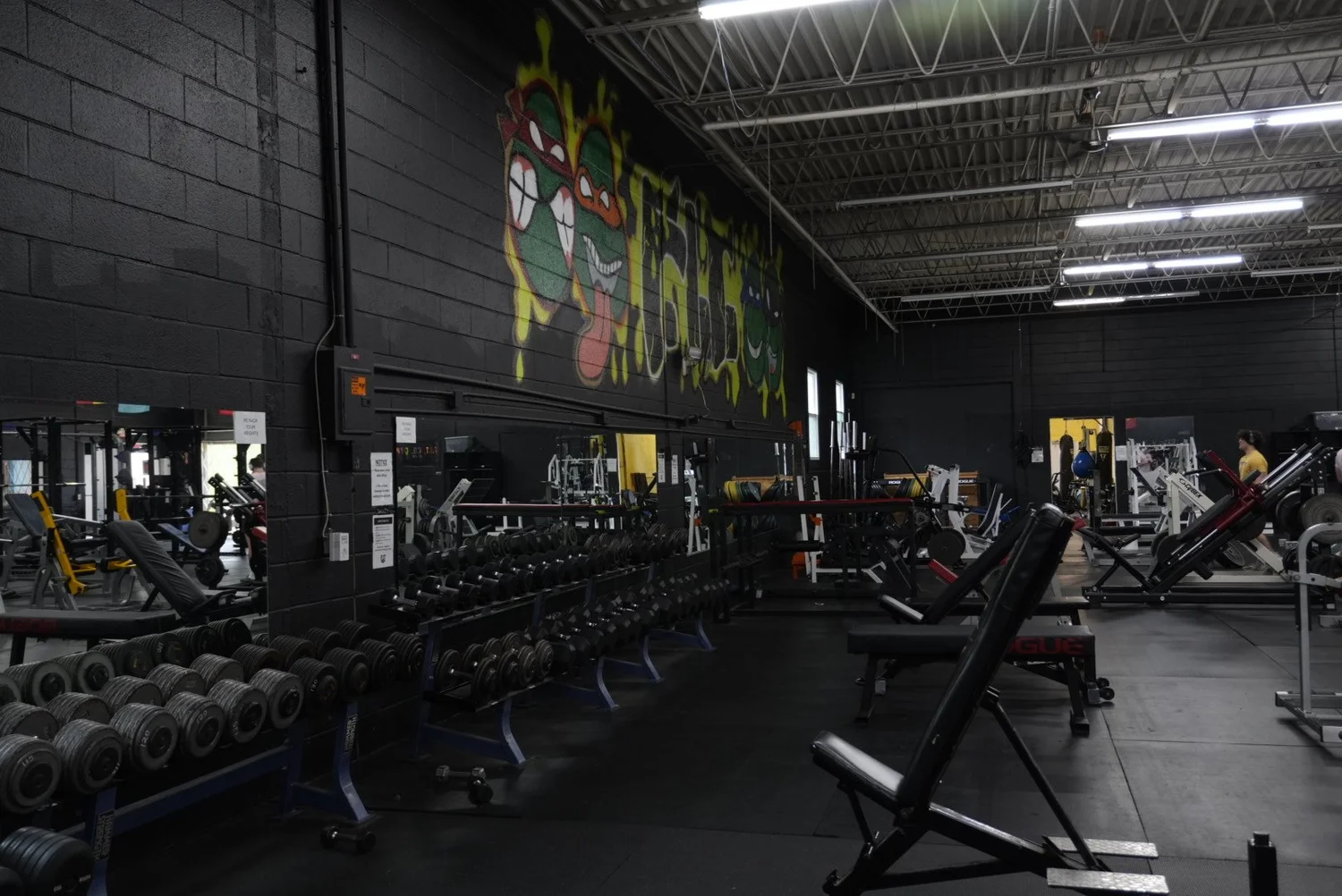 Welcome to FitCo Gym