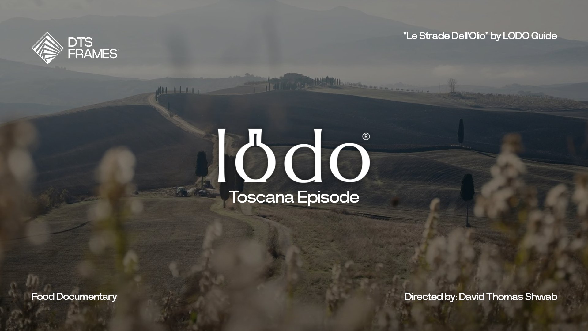 "Le Strade Dell'Olio" by LODO Guide - Toscana episode