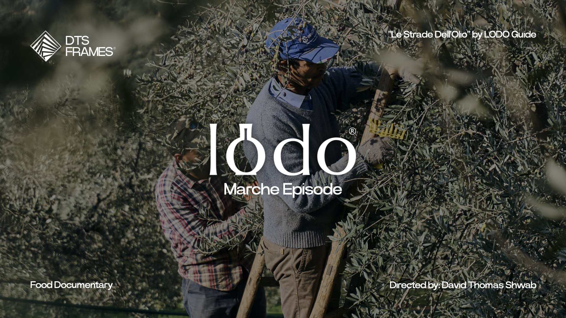 "Le Strade Dell'Olio" by LODO Guide - Marche episode
