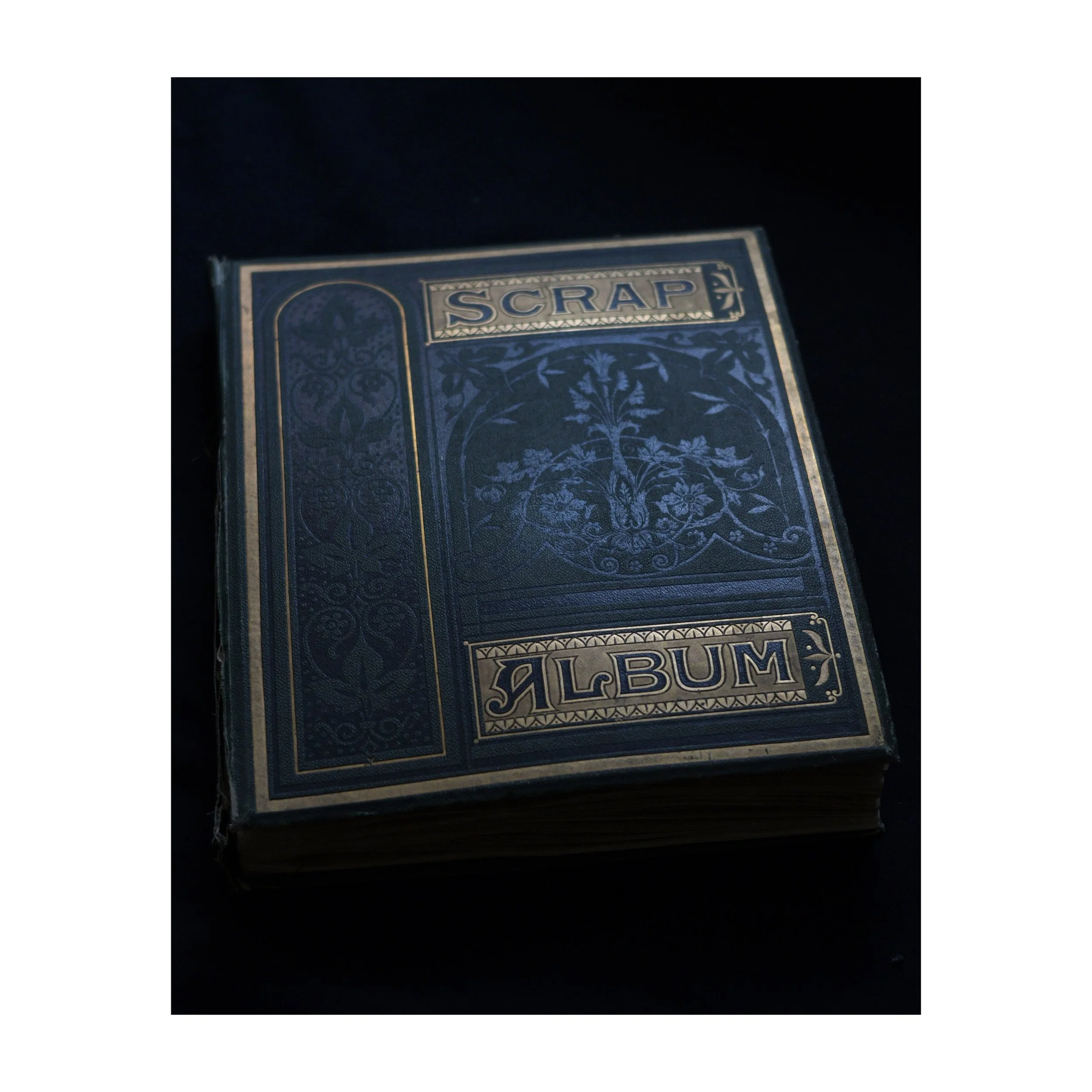 Antique Scrapbook - Botanical Pressings - 1877