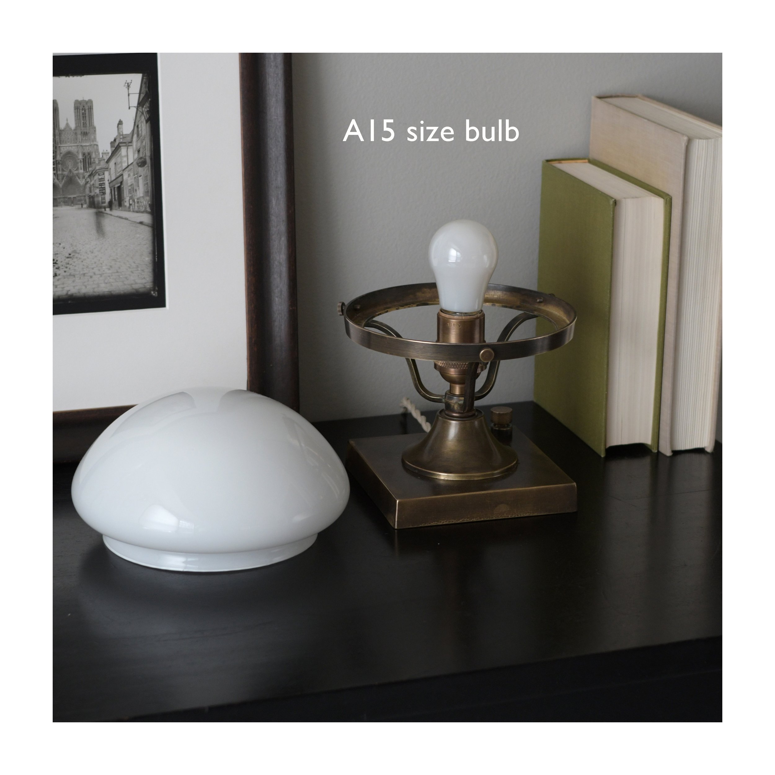 aaDSC_4308b.jpg
