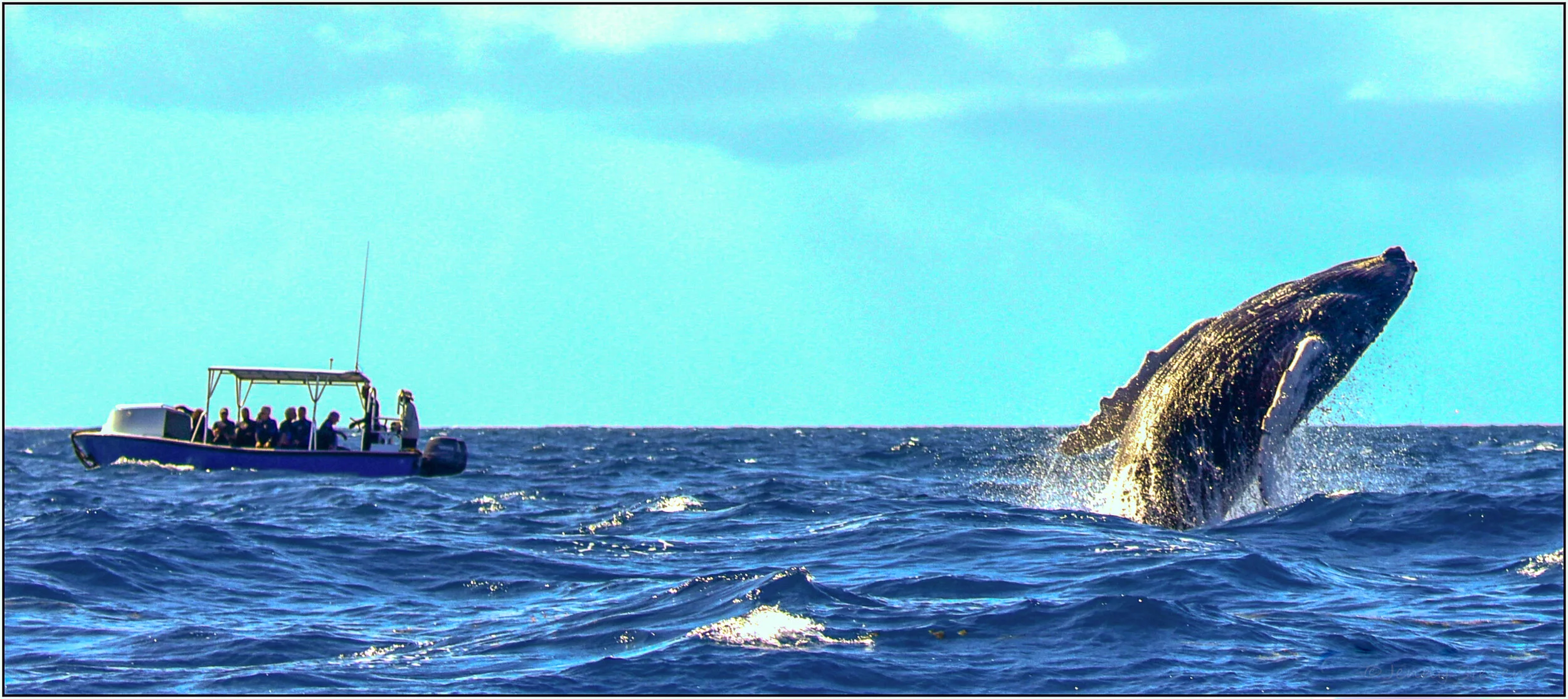 Wanderings — Jenny Stevens Photography