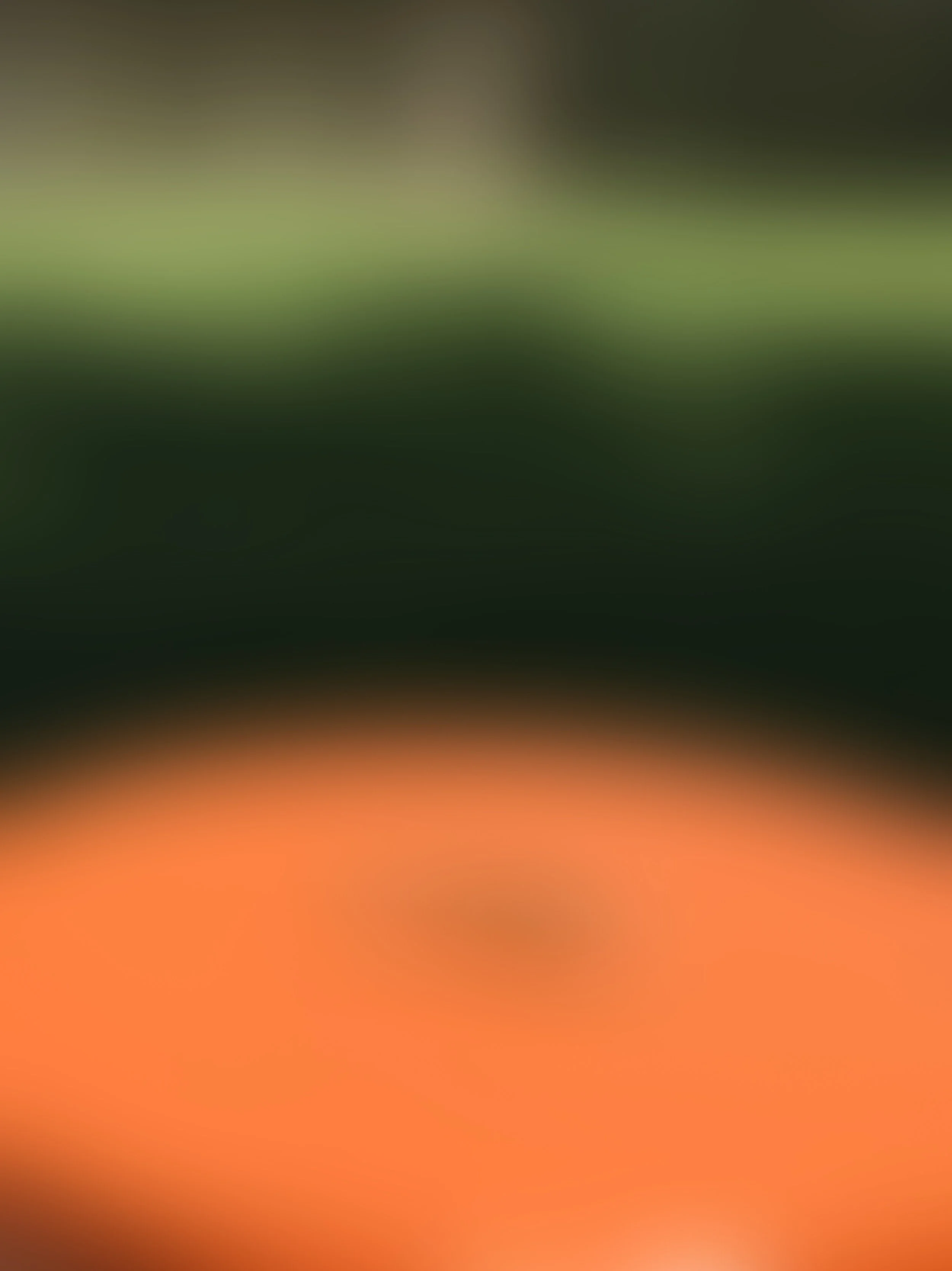 Project Twelve; plants