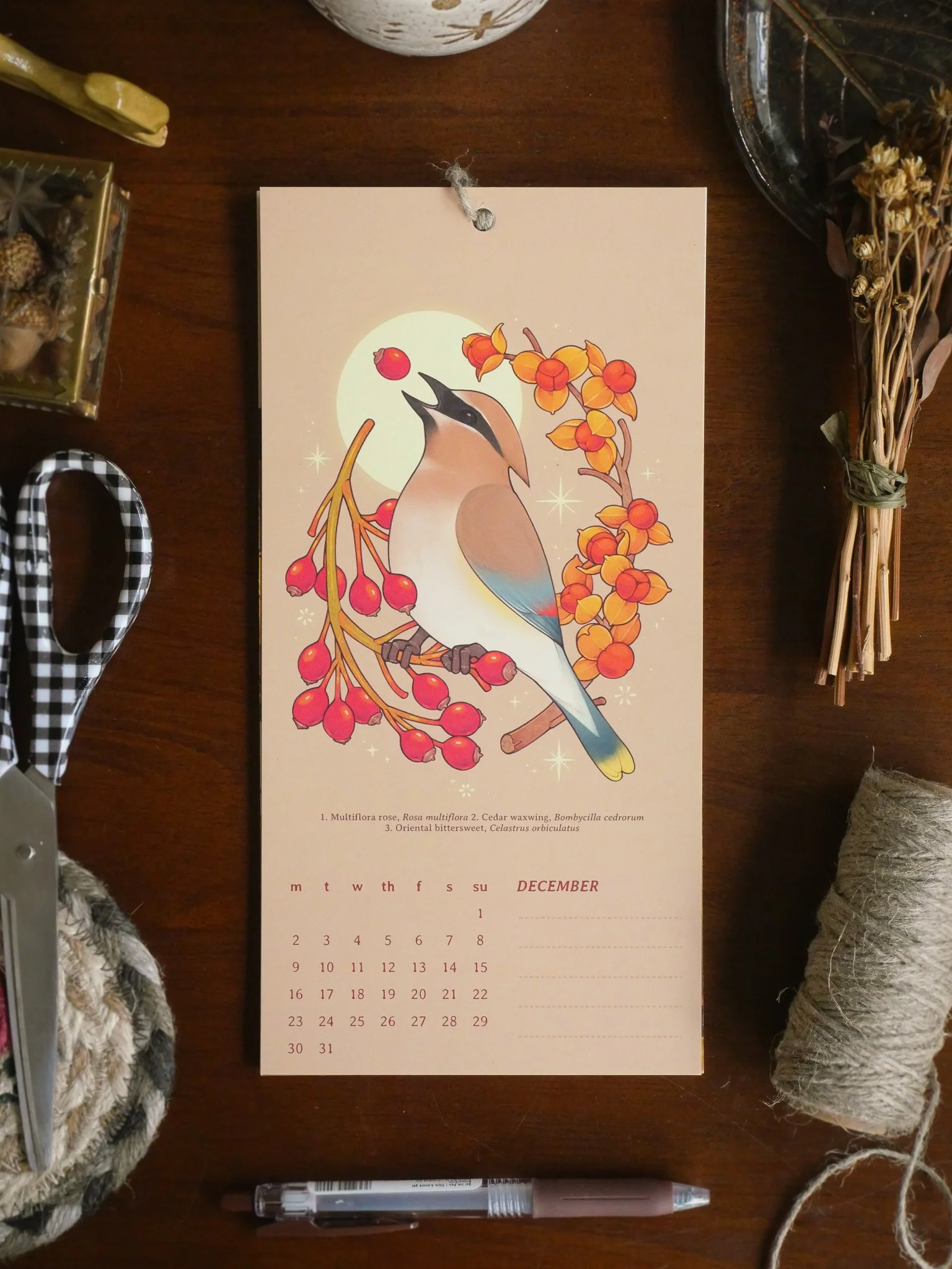 2024 Field Notes Calendar — Lianne Pflug