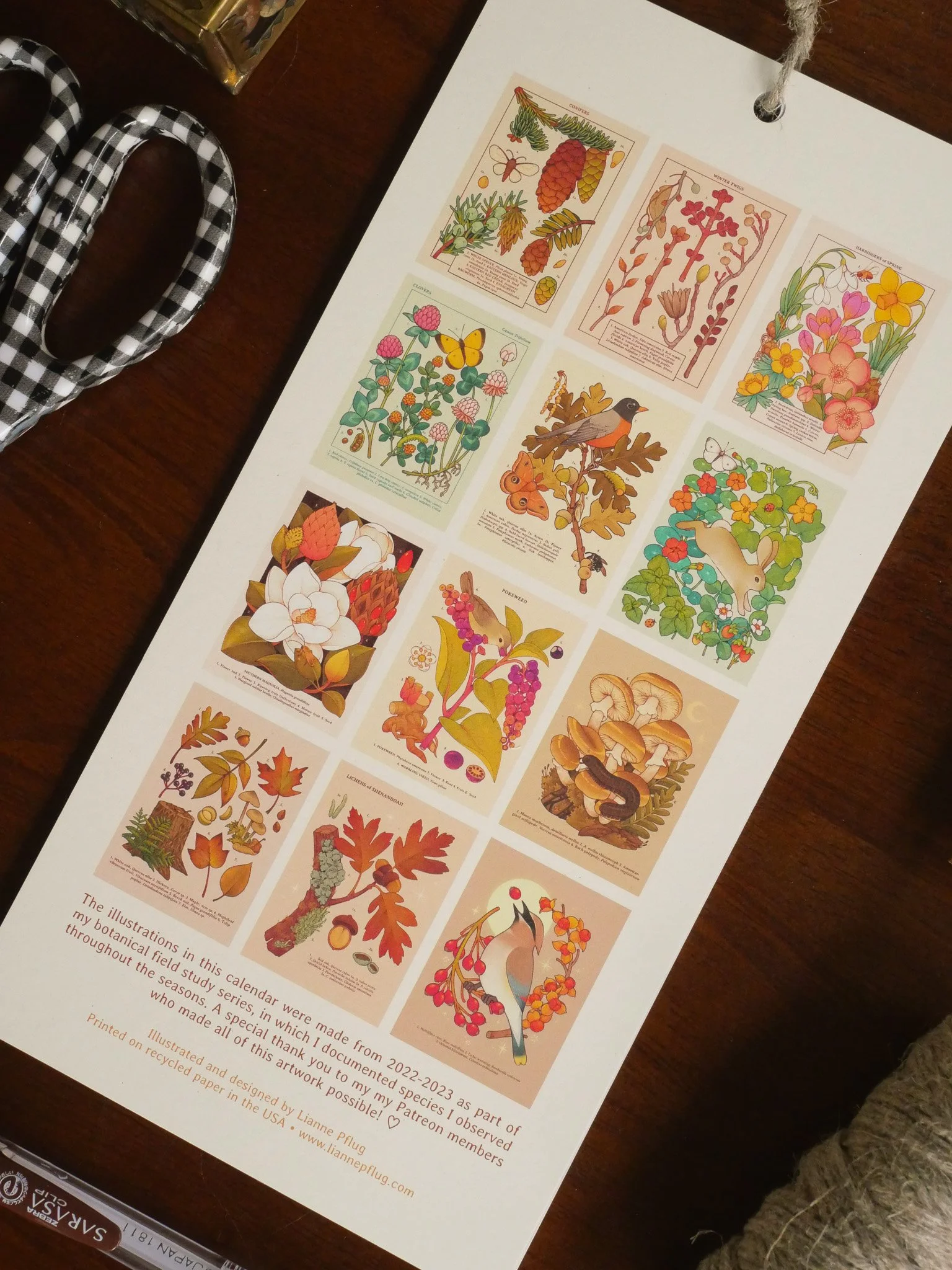 2024 Field Notes Calendar — Lianne Pflug